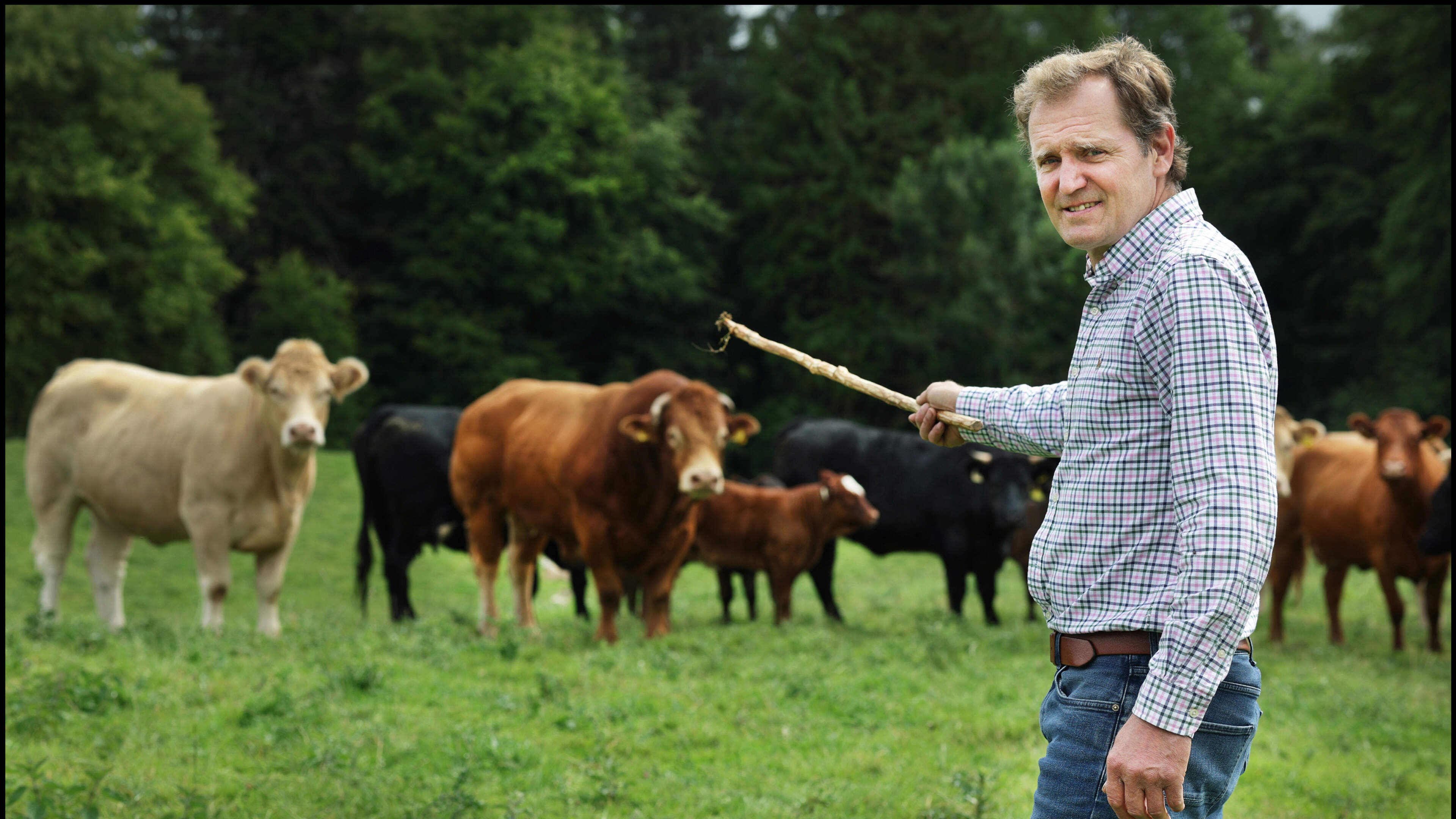 How one missed window nearly cost us our silage crop