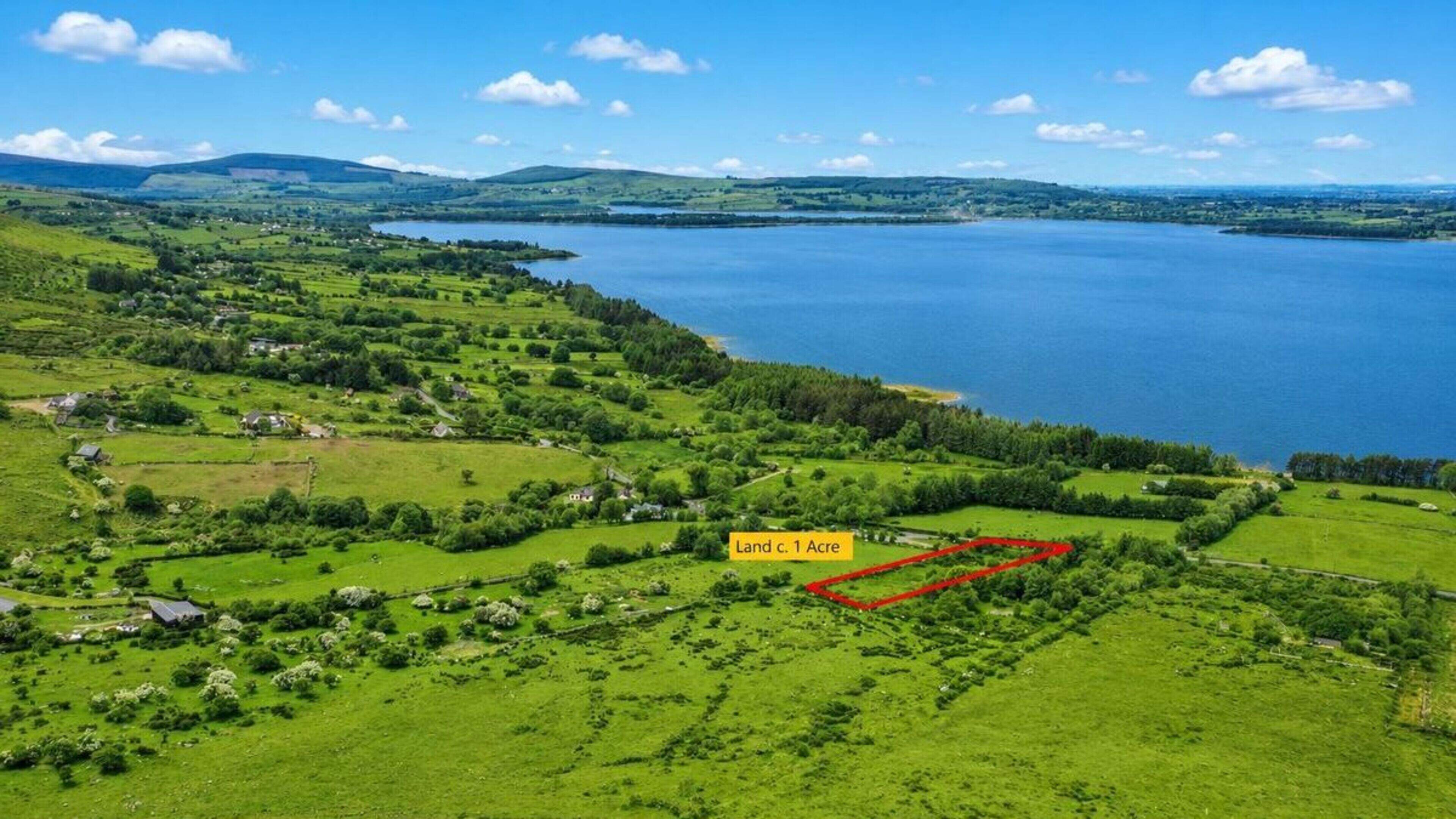 Two agricultural sites overlooking Wicklow lakes put on market at €55,000 each