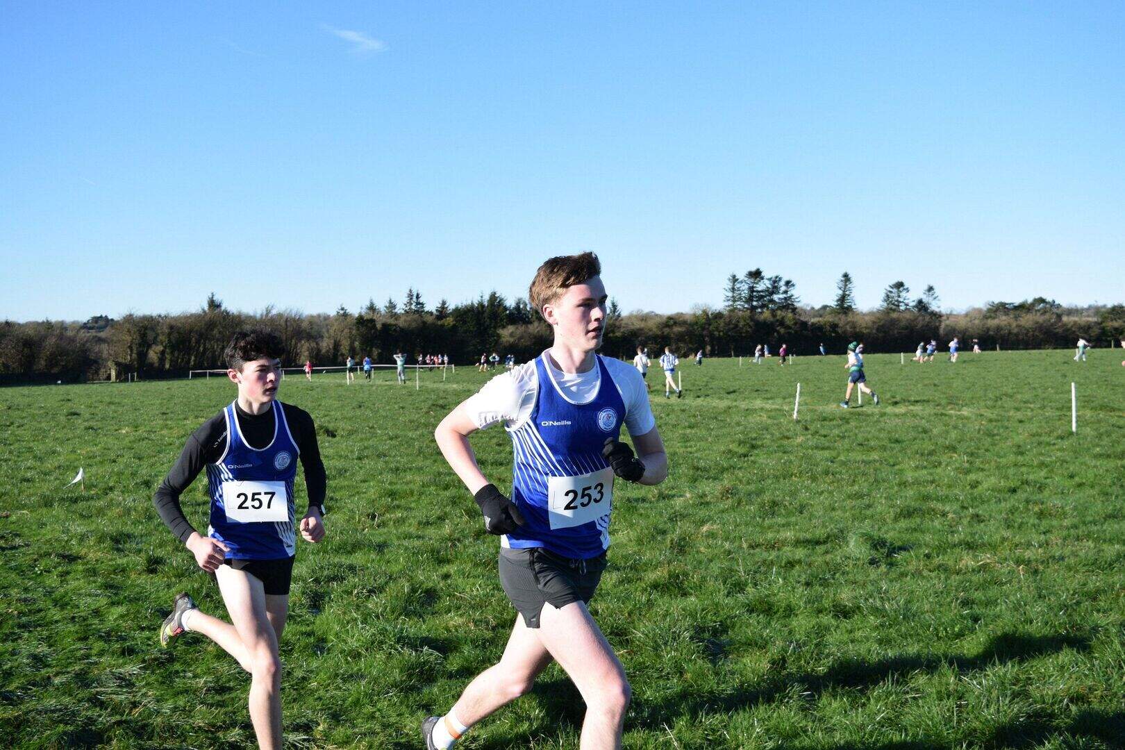 St. Mary’s claim Donna Foley Cup at Wexford schools cross-country ...