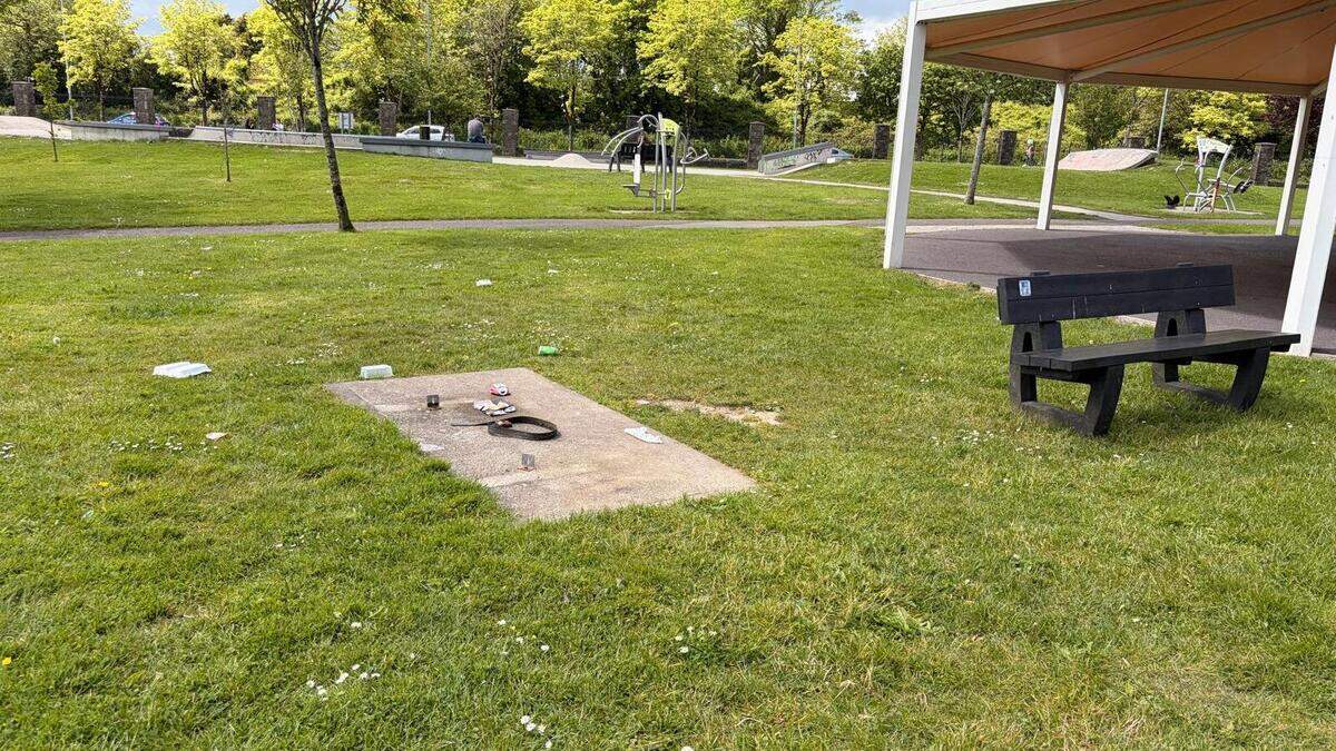 Teens wreak havoc in Cork park sparking calls for action to protect a key community asset