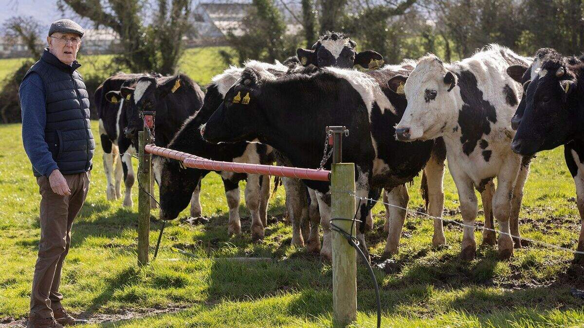 John Heney: My herd test was a success but I find it hard to be ...