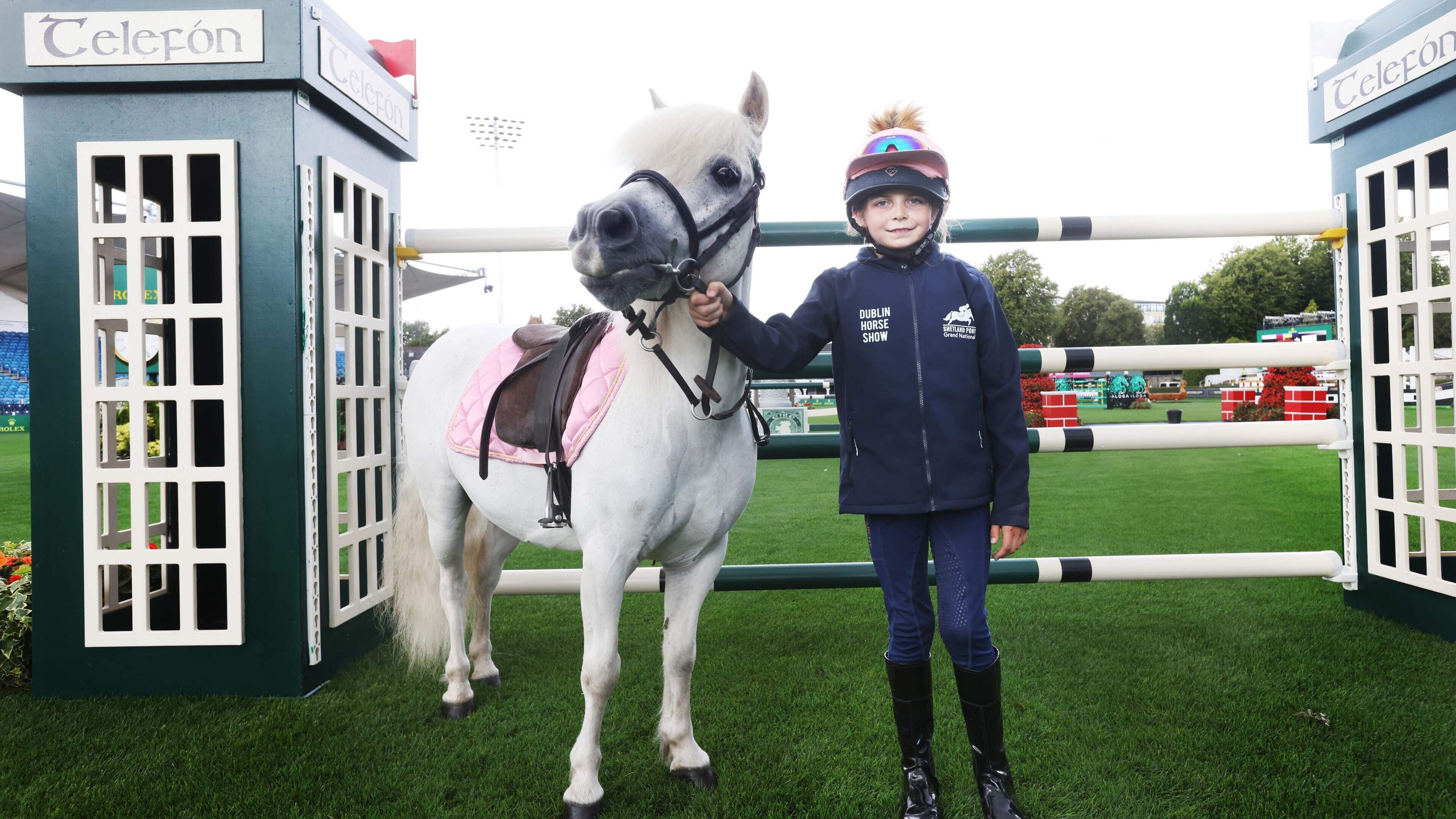 ‘We’re a bit like a horse hotel here for the week’ – RDS Dublin Horse Show to begin with more than 100,000 visitors expected