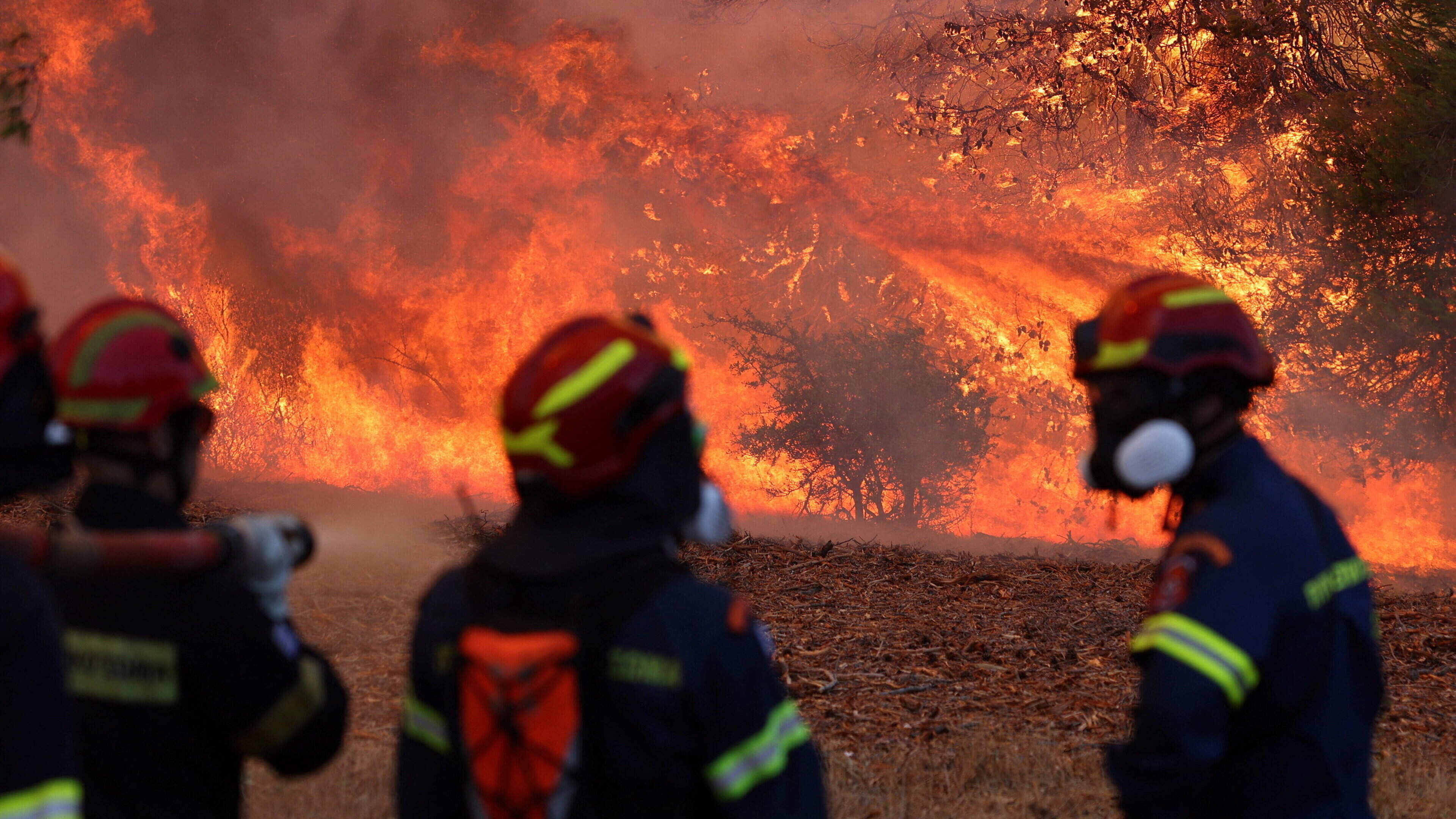 Sinéad Ryan: Governments need to use the ‘big stick’ approach if anything is to happen on climate change