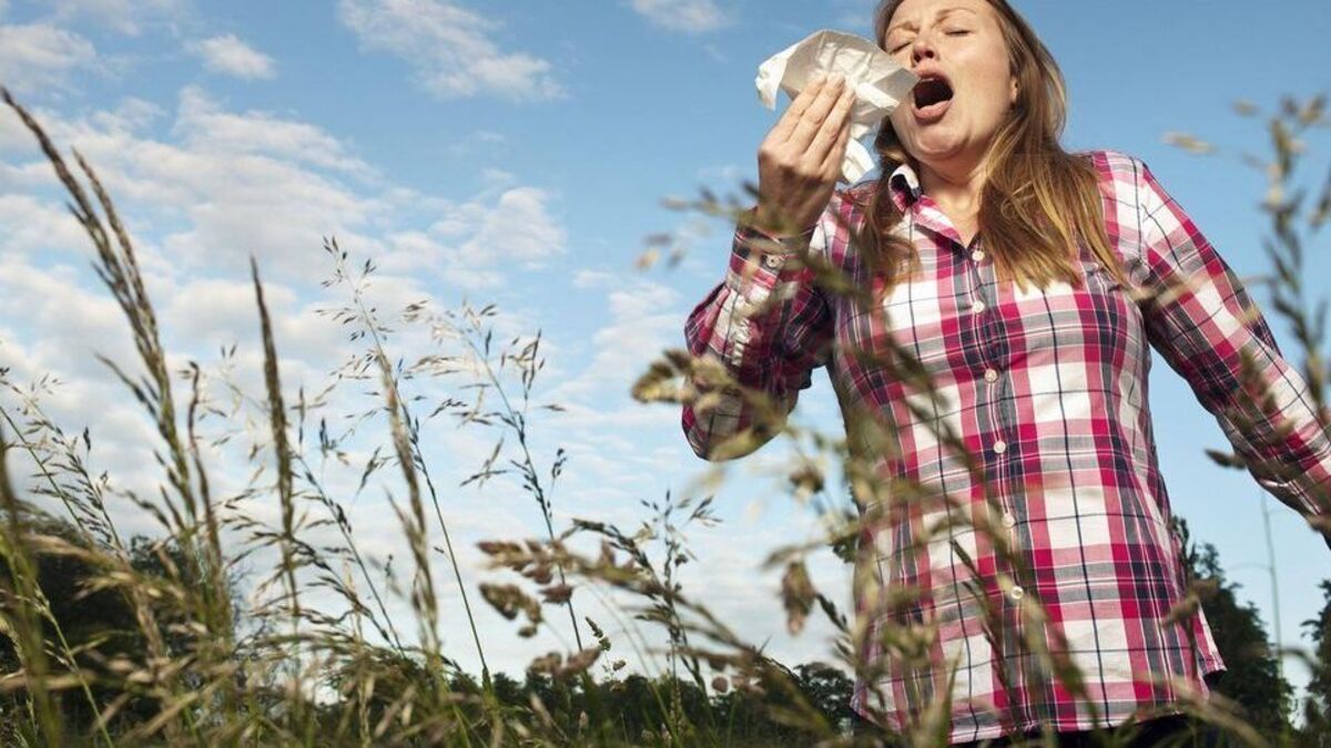 Tips on surviving hay fever as survey reveals how sufferers miss work ...