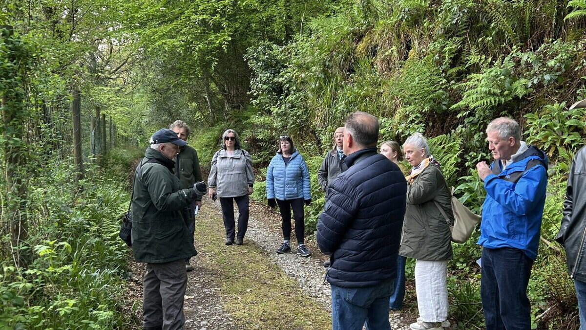 Historic Wicklow castle and estate hosts bird song walk, with cuckoo call highlight