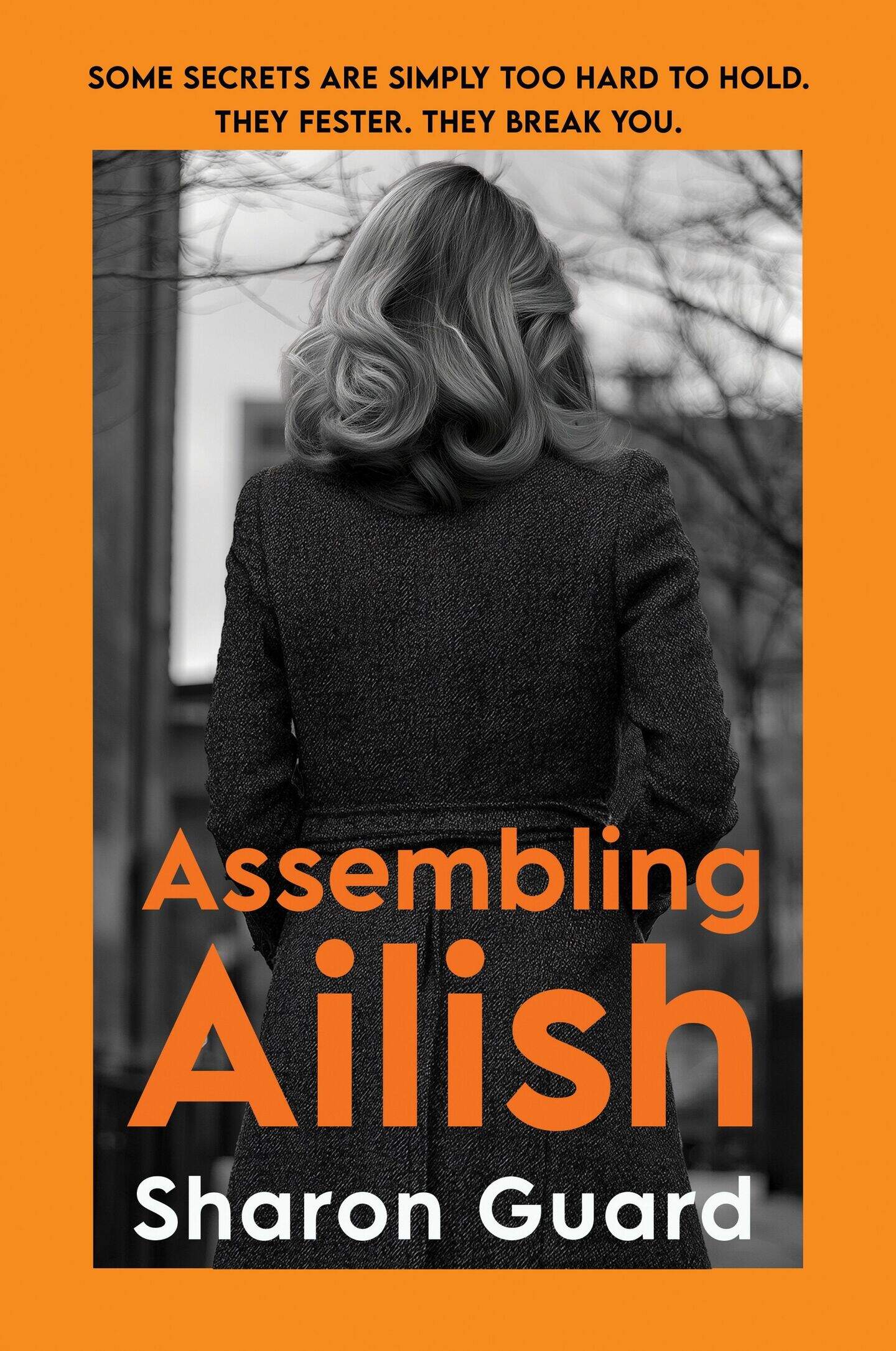 Assembling Ailish by Sharon Guard: Impressive debut delves into the ...