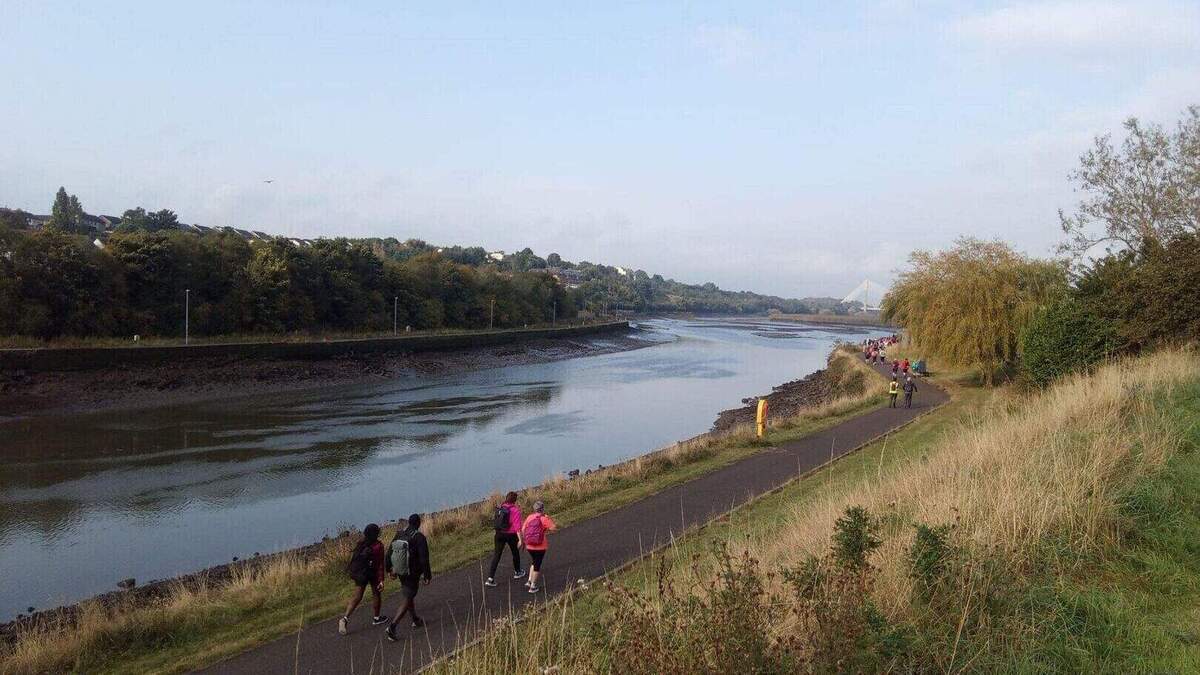 'Go left for Louth' campaign should launch at Dublin airport as new tourism strategy adopted