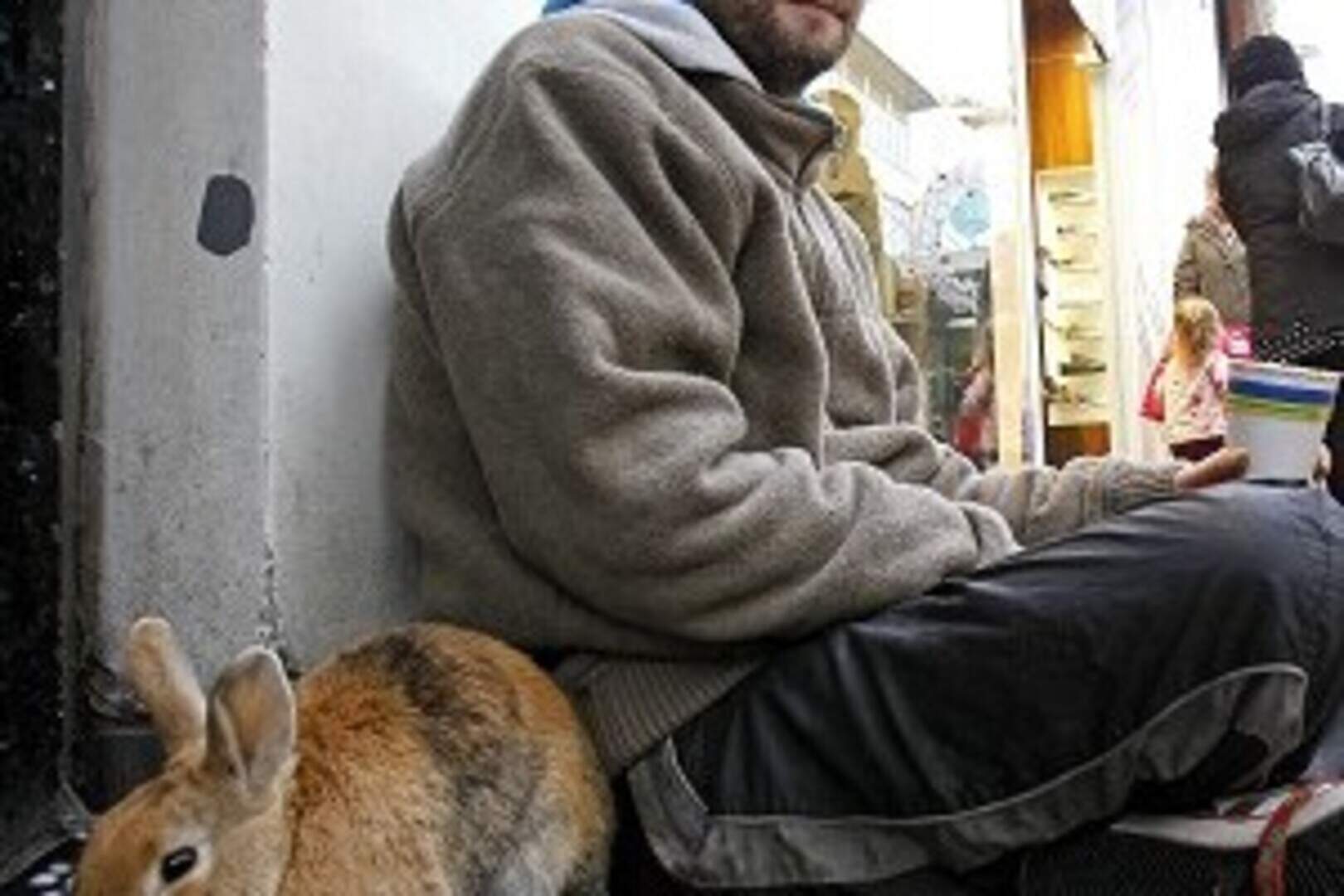 Man to admit rabbit cruelty charge | Irish Independent