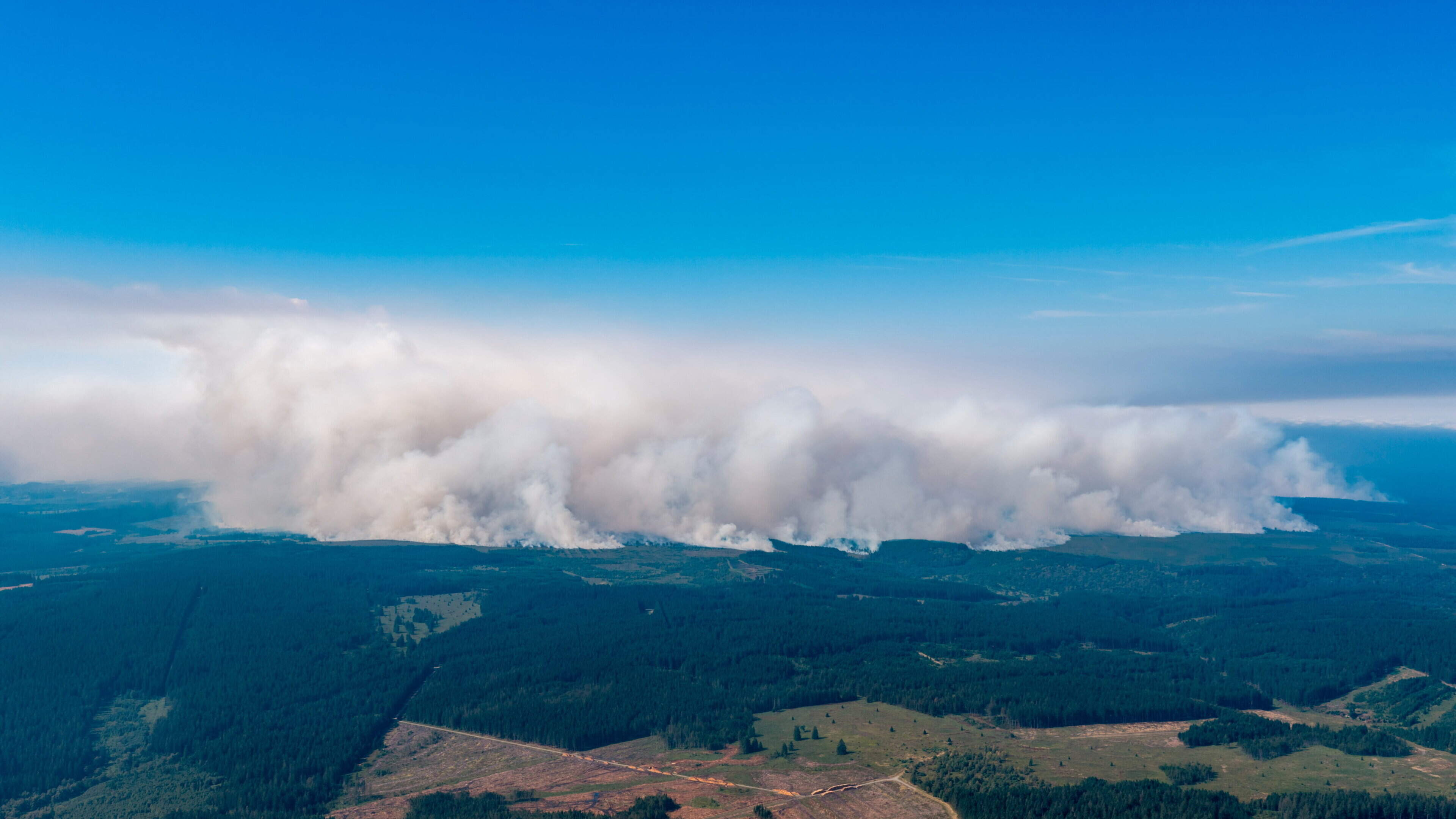 Belgium’s biggest-ever wildfire heads towards Germany