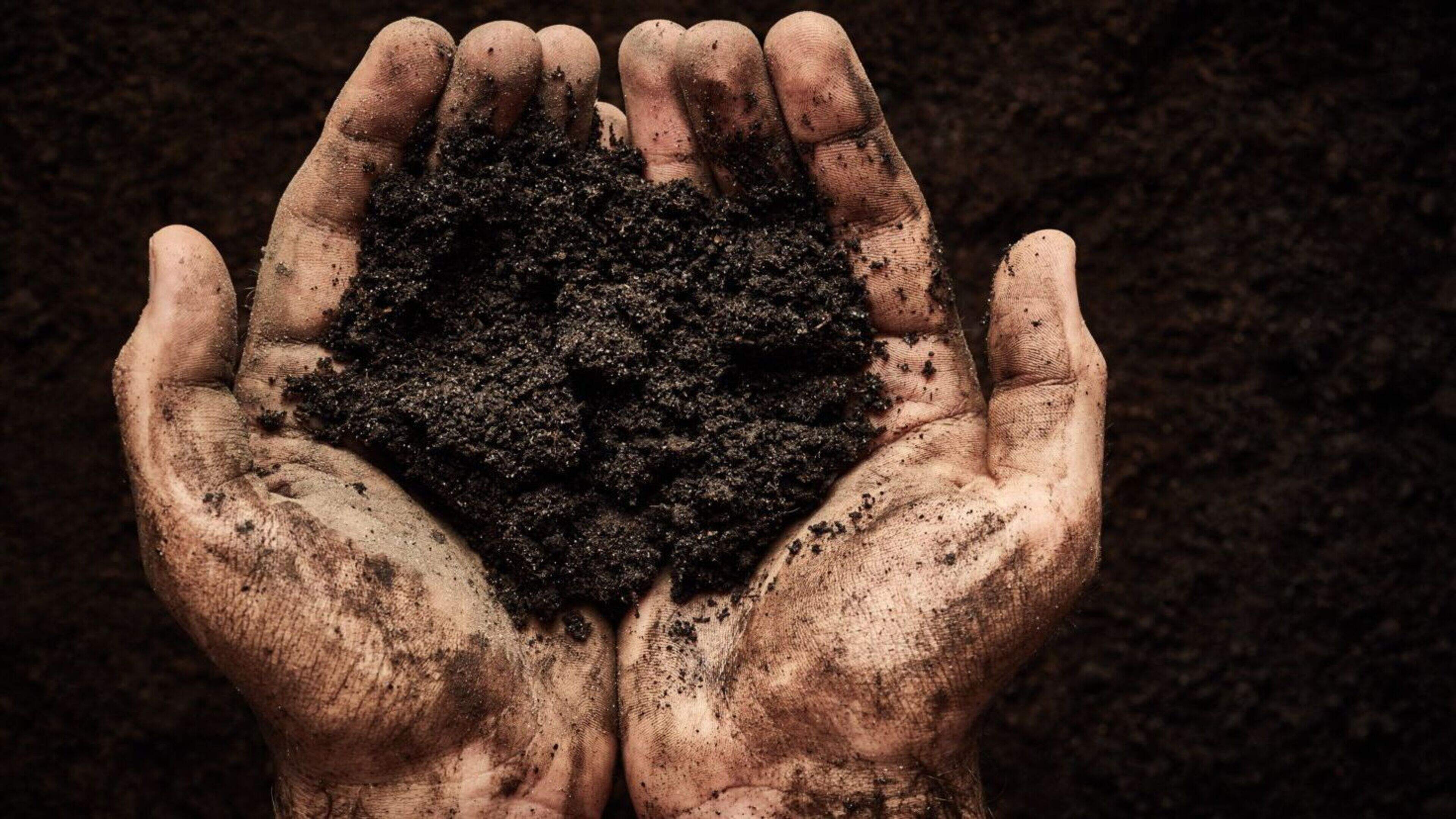 18,000 jobs at risk as horticultural peat industry ‘left in regulatory limbo’ 