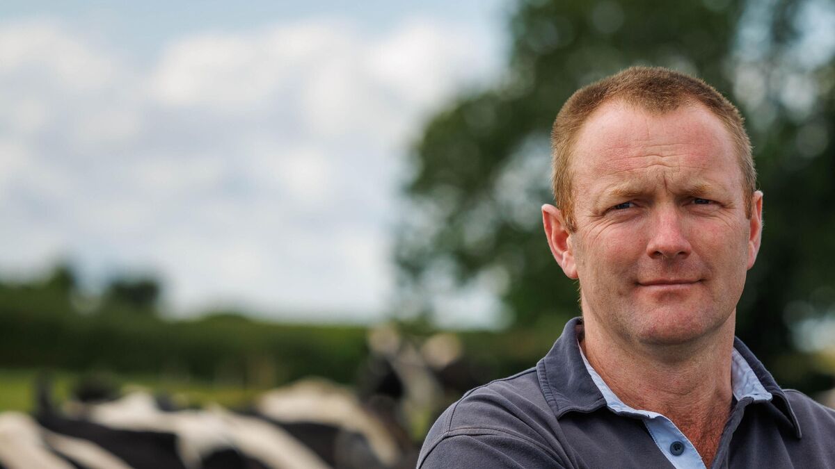 ‘We're in real trouble for winter': Drennan warns of fodder crisis after drought