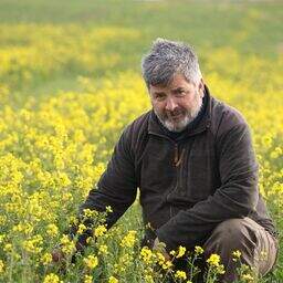 How the decision to keep struggling winter oilseed rape has paid off ...