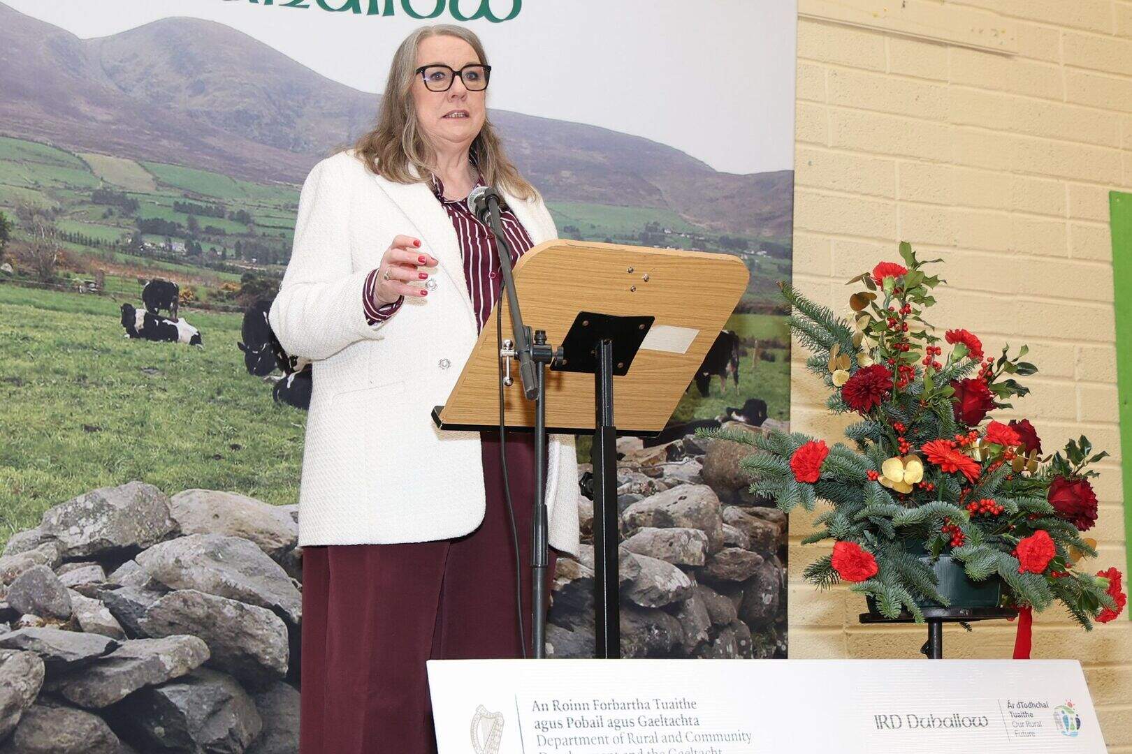 Photos show delight in Cork village as it secures €1.8m in funding for ...