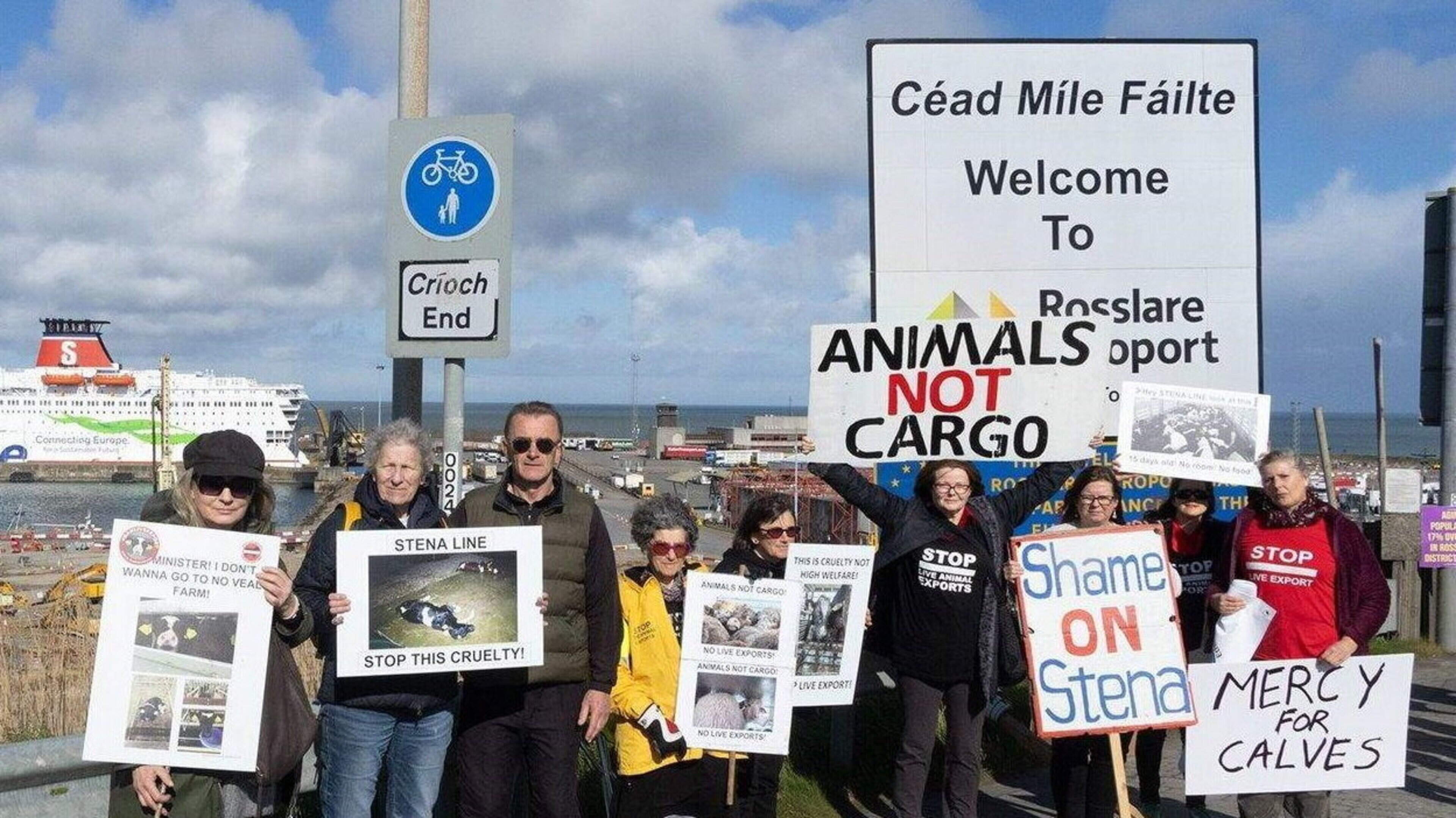 ‘Another blow to competition’ — Young farmers hit out at Brittany Ferries live exports U-turn