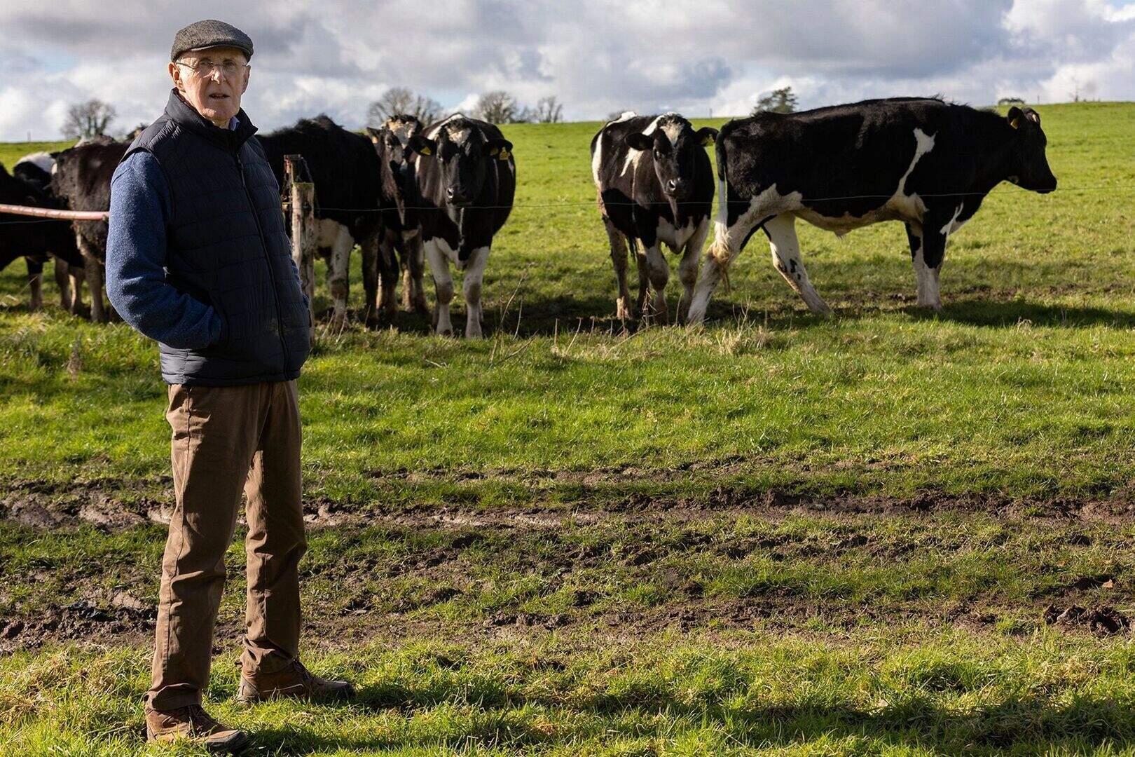 John Heney: Which type of stores will turn the biggest profit for me ...