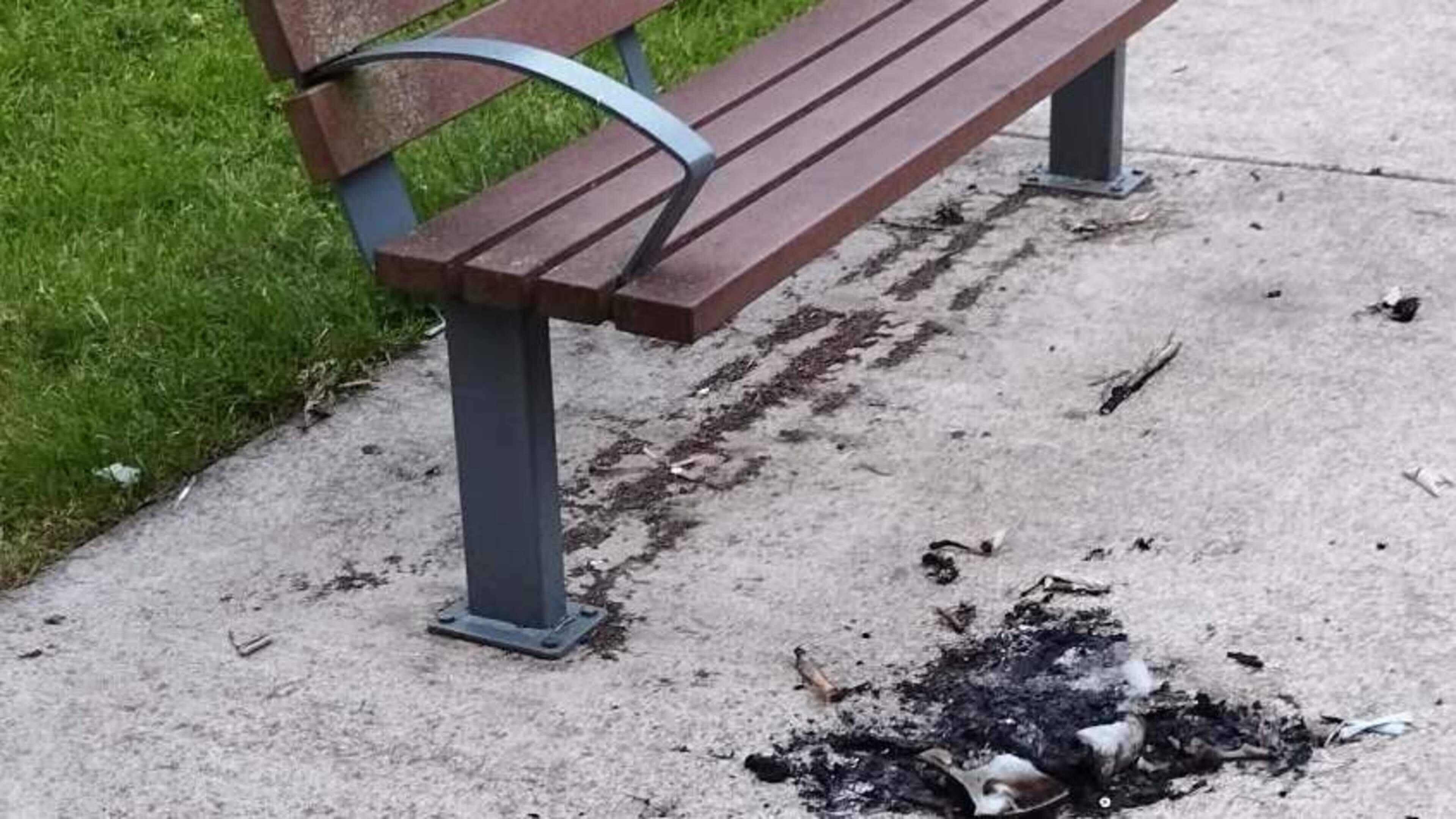 ‘Groundhog day’ in Wexford town park as vandals light fires and break benches 