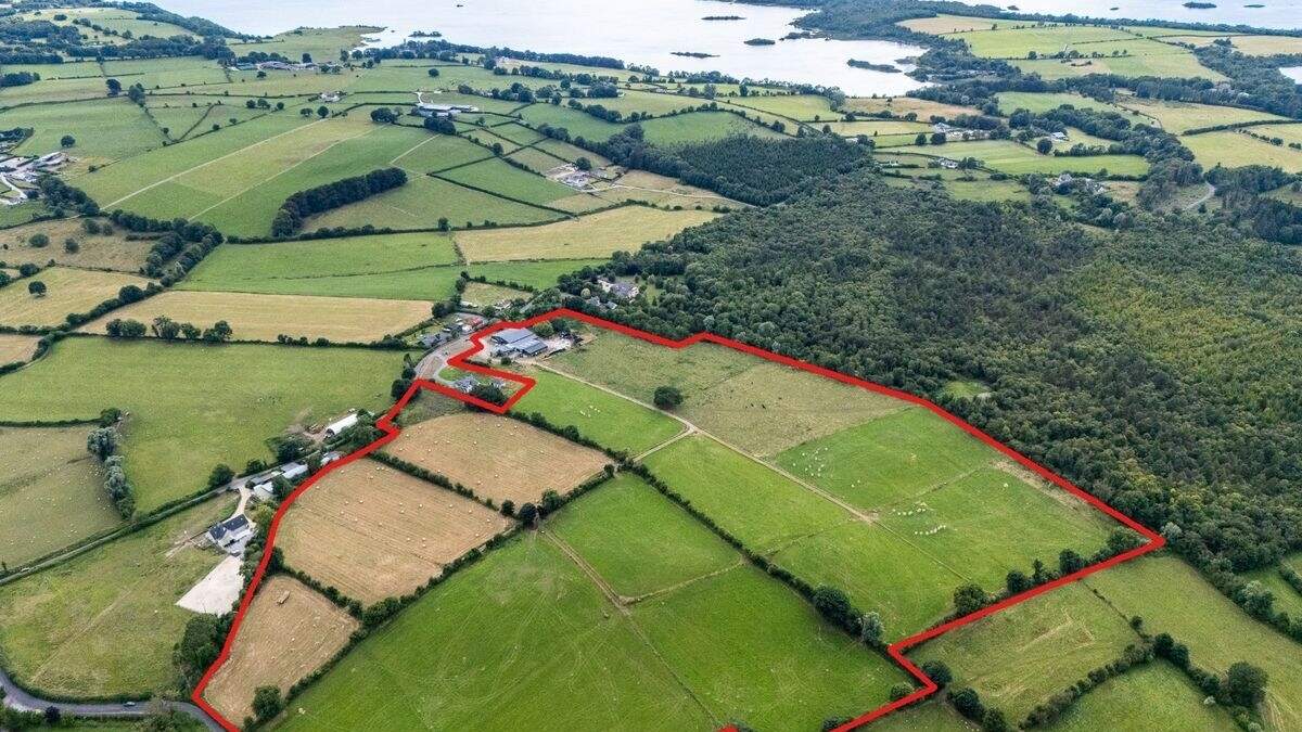 Three prime Glasson holdings near Athlone totalling 118ac guided at up to €16,000 per acre