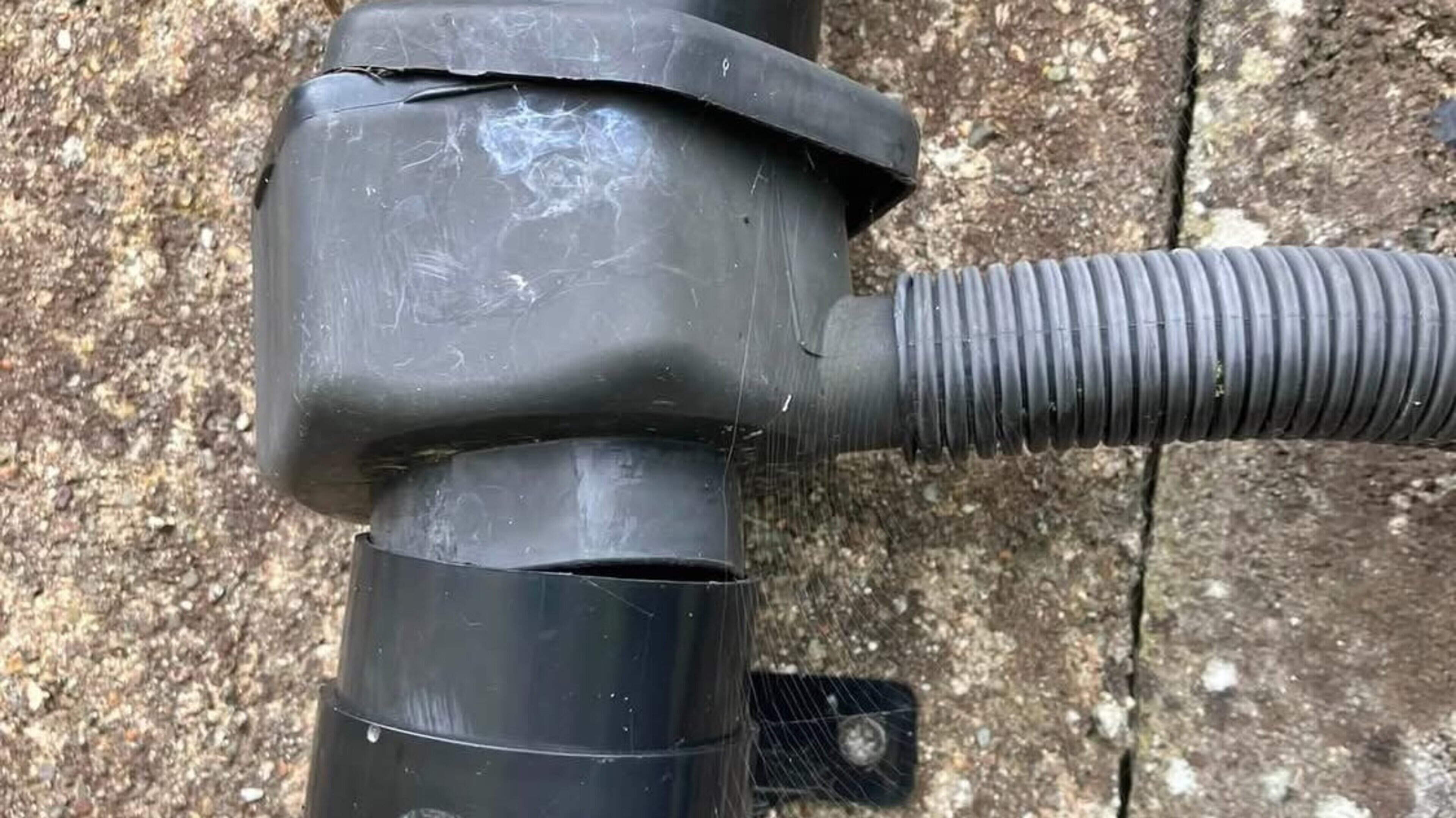 Frustration as Wexford community vegetable garden is repeatedly vandalised 