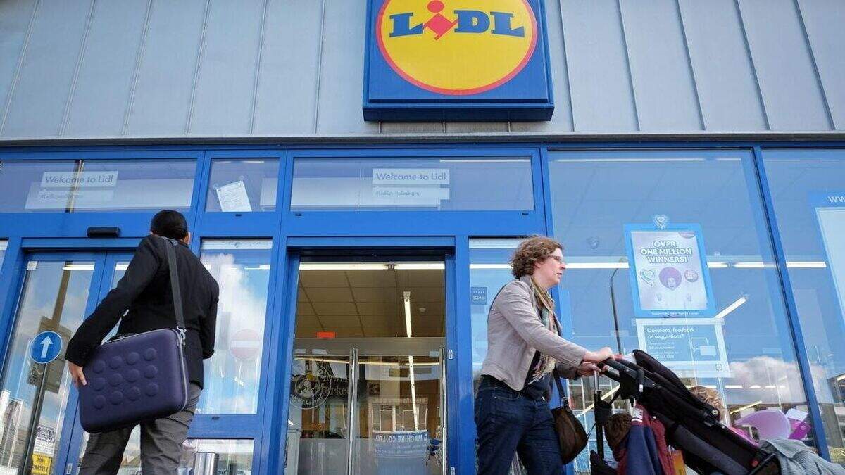 Lidl to invest €420m in Munster, with more than 500 permanent jobs planned