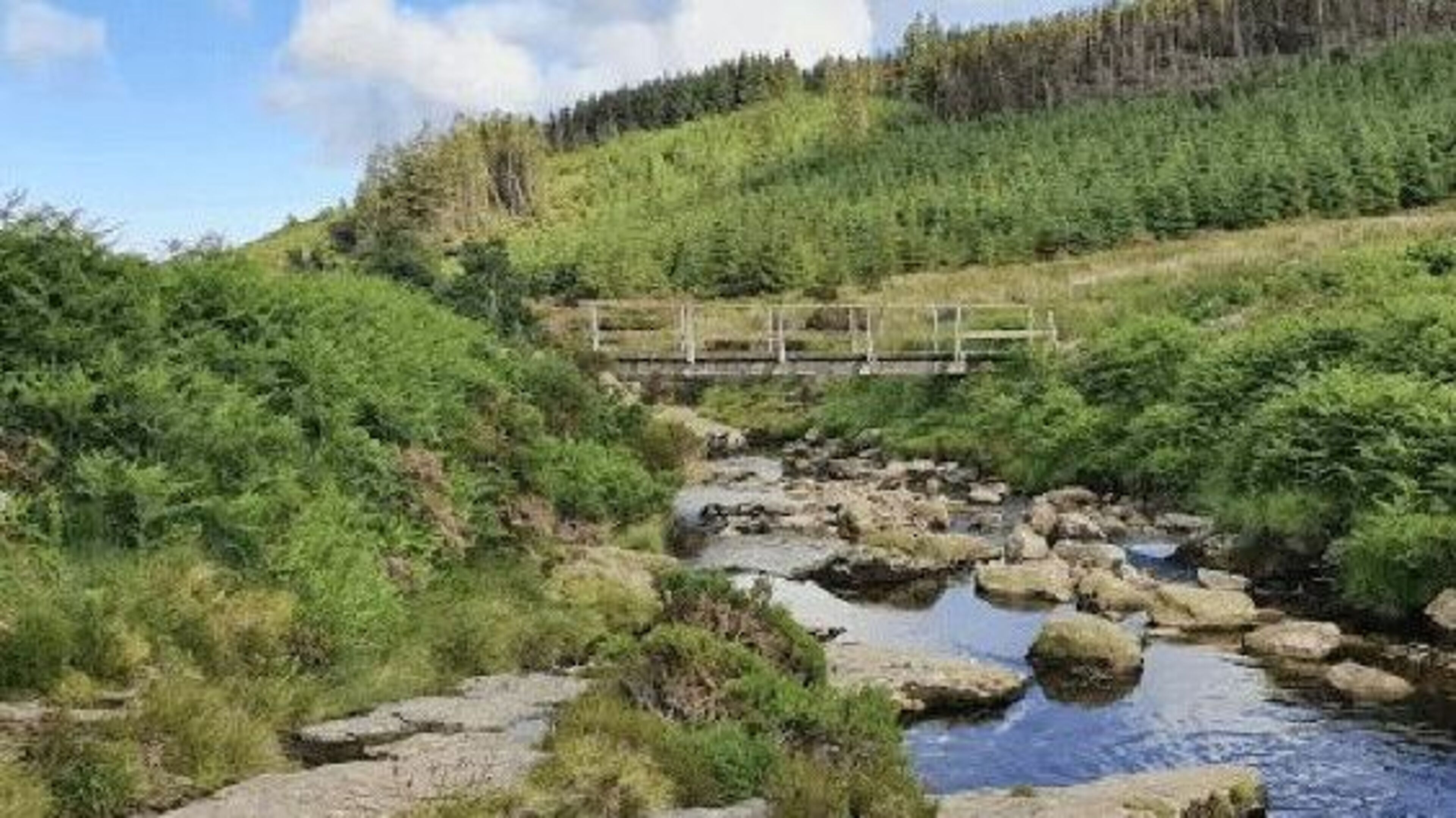 Most Wicklow Mountains protected habitats in ‘bad’ or ‘inadequate’ condition as State steps up restoration drive