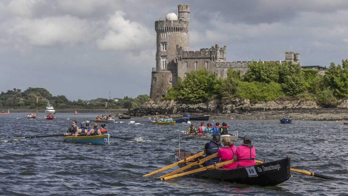 June Bank Holiday weekend in Cork: Runners, rowers, and roaring laughter