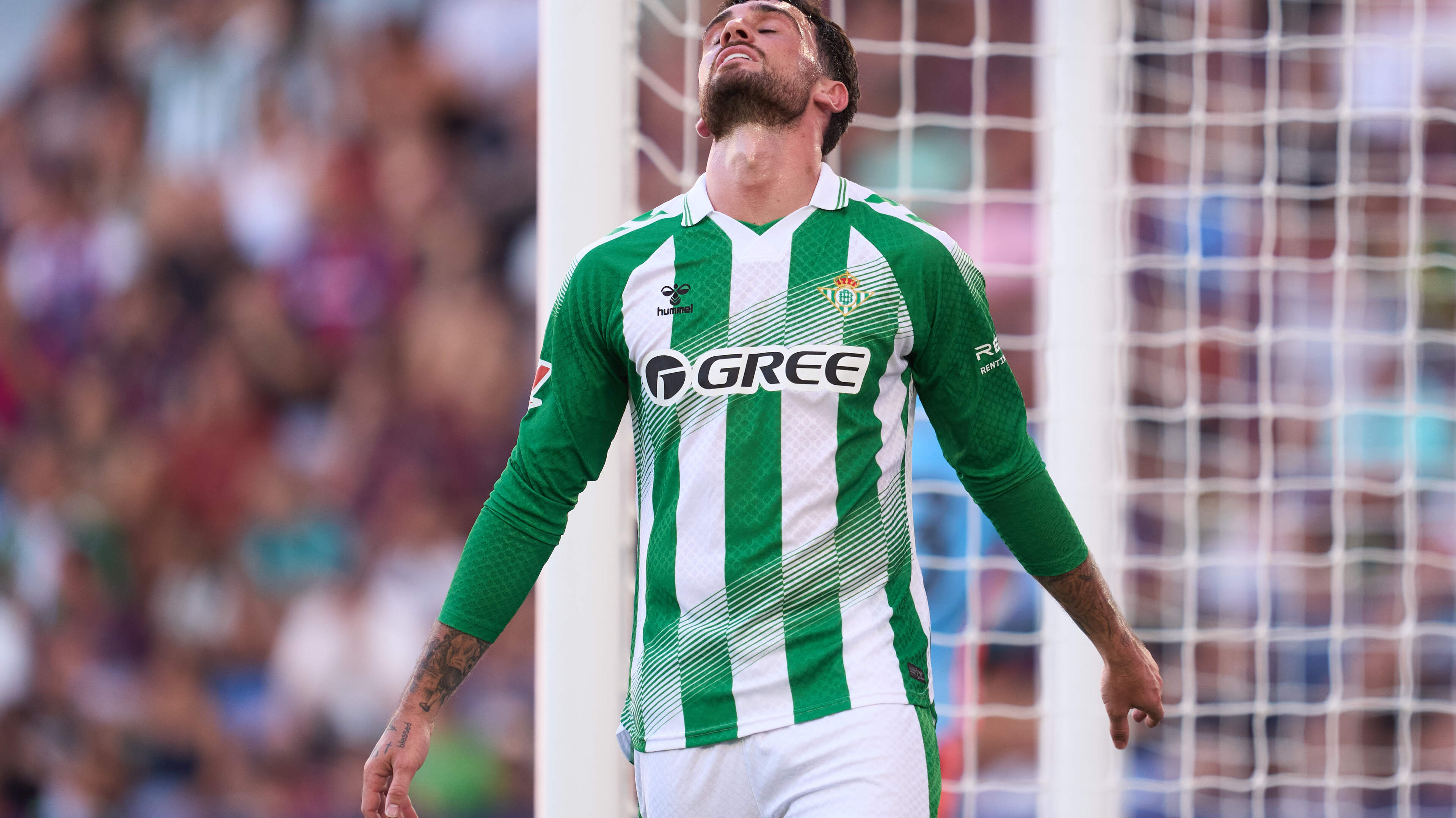 Troy Parrott has been handed an instant opportunity to turn his Champions League dream into a reality