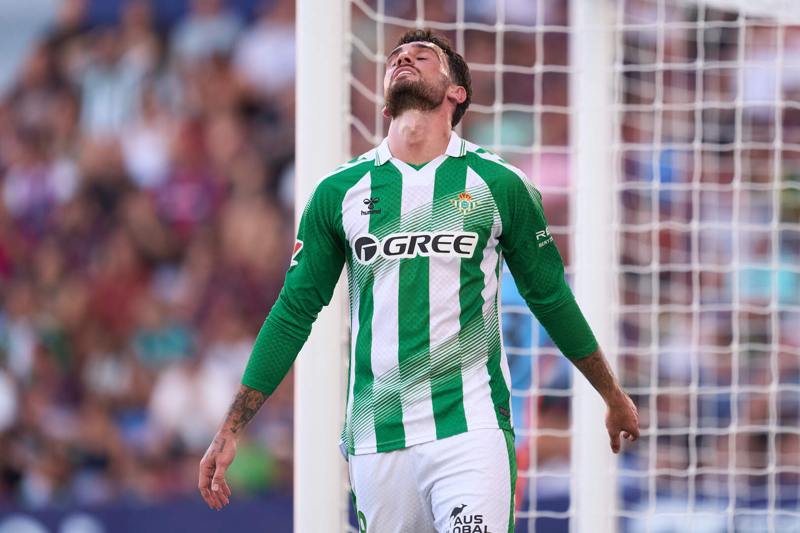 Troy Parrott has been handed an instant opportunity to turn his Champions League dream into a reality | Irish Independent