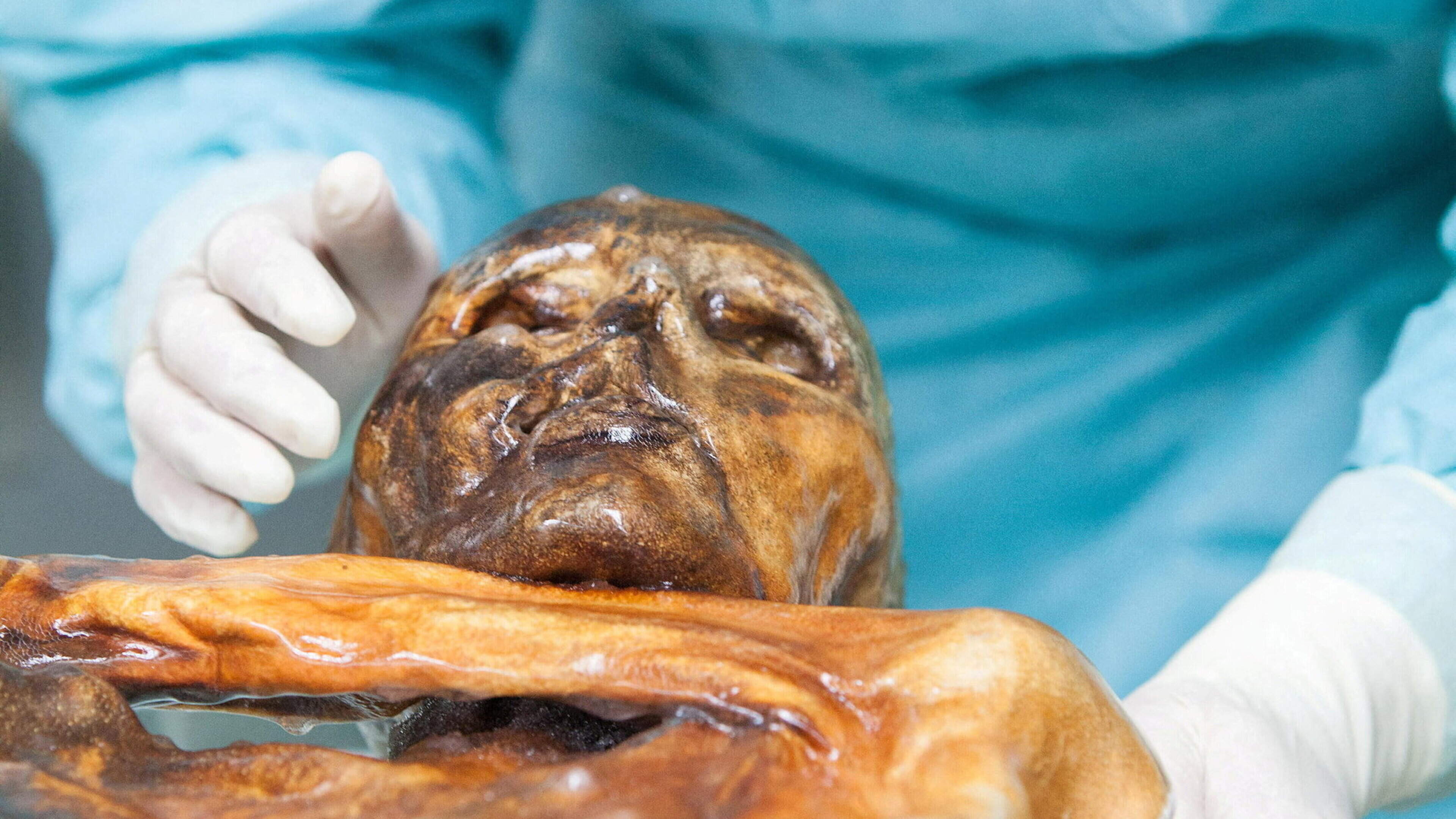Mummy’s made a sourdough – Otzi, the 5,300-year-old mummy, that is