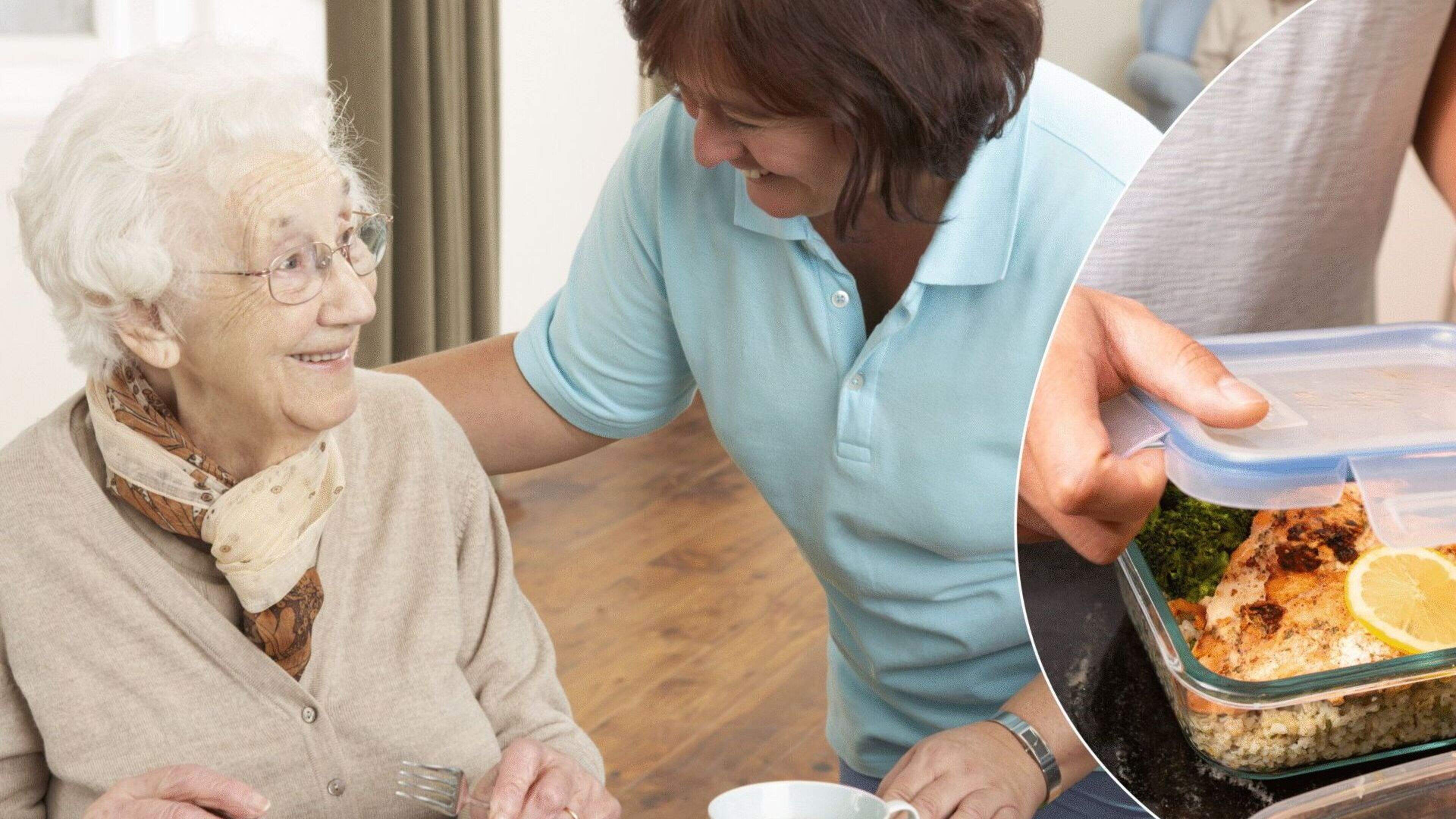 National audit needed to expand Meals on Wheels services, says Laois TD