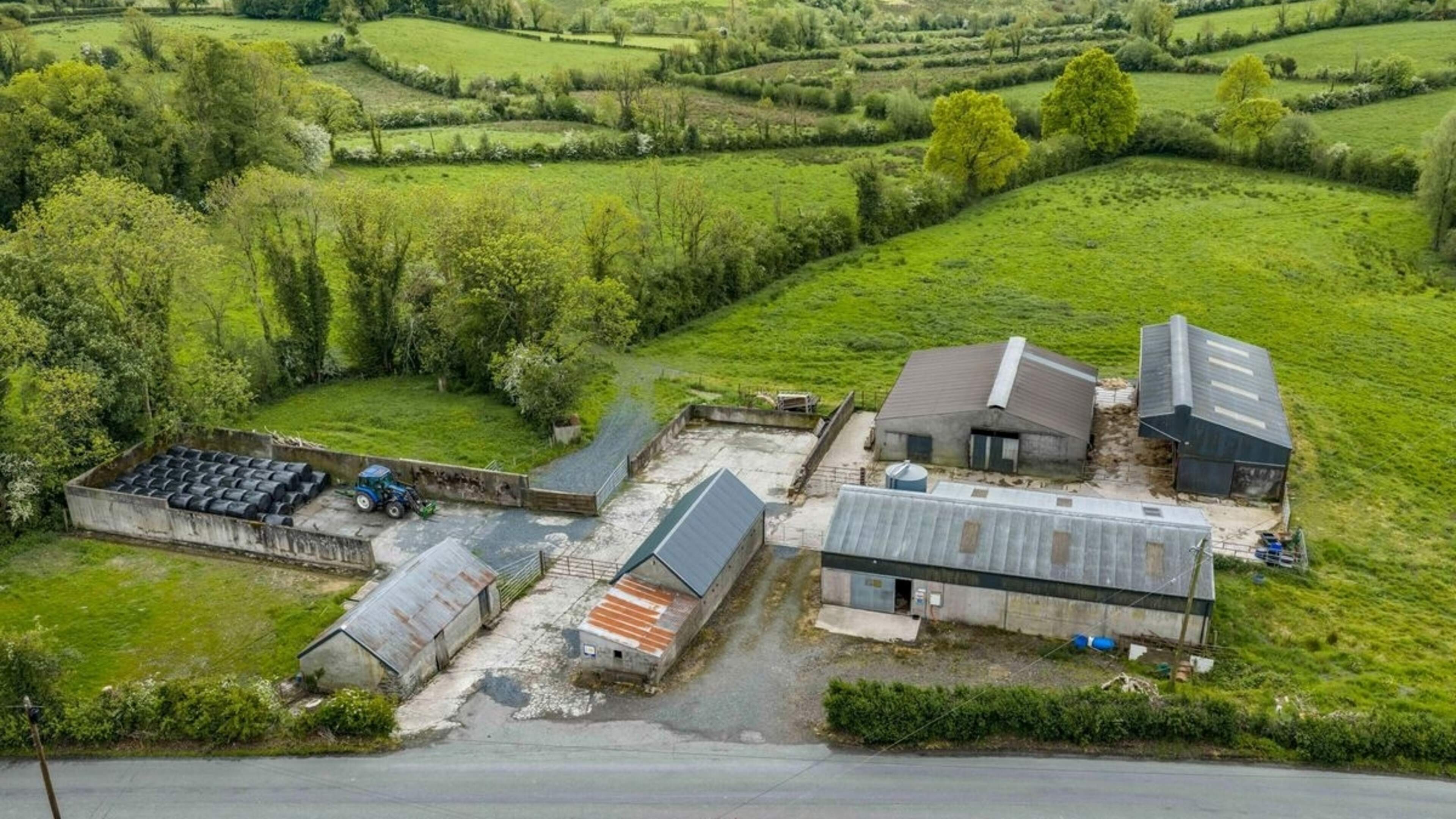Strong interest as 70ac Cavan dairy farm draws bidders 