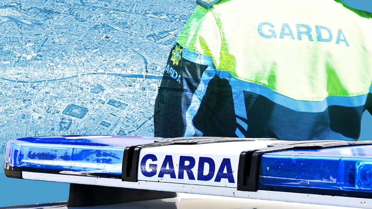 Concerns whether 'excessive' number of gardai on board deportation flights - as more than 130 gardai escort just 63 people to South Africa