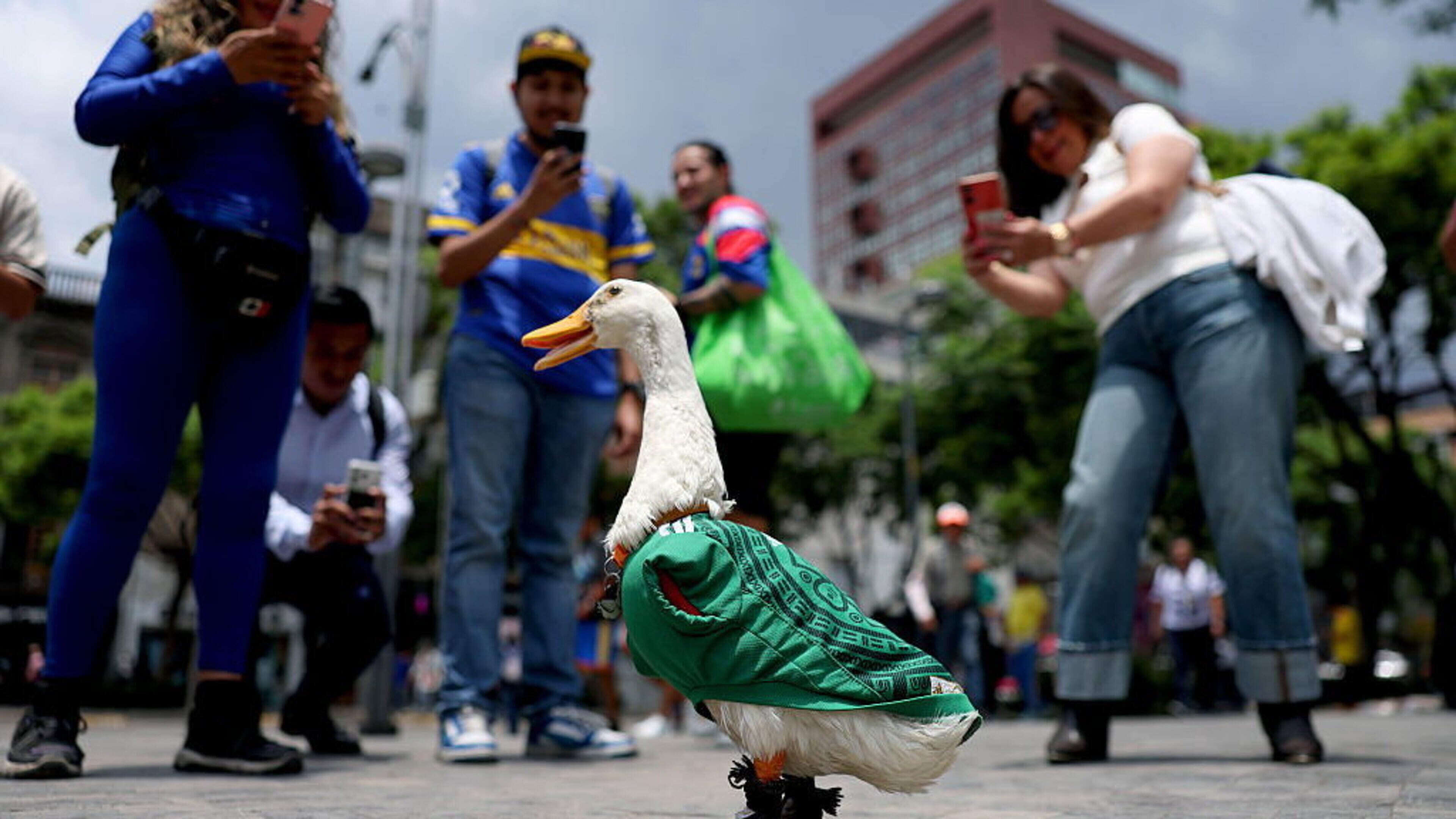 The 21 things that made this the maddest World Cup ever
