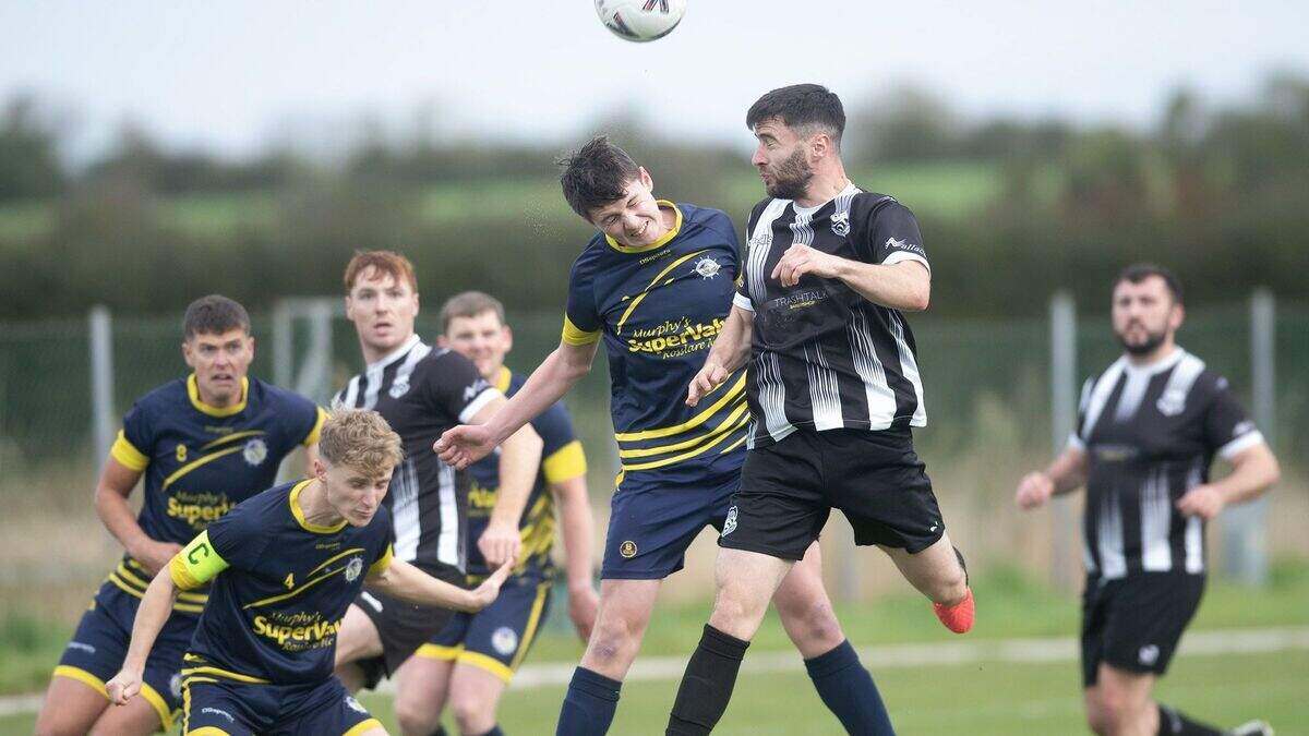 Wexford Football League results and fixtures | Irish Independent
