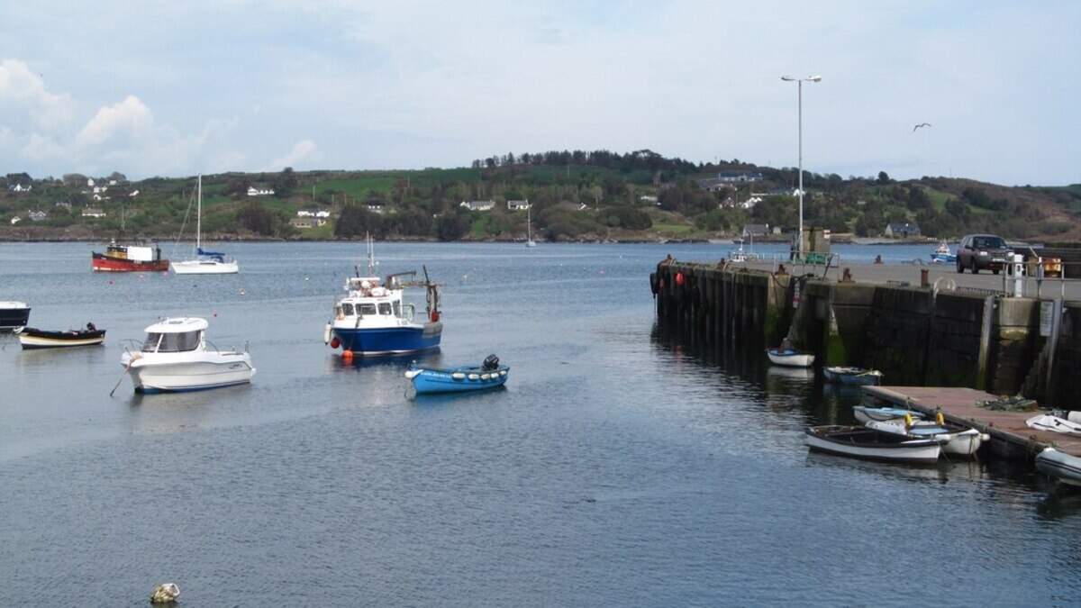 Government funding for Cork pier upkeep just a 'pittance,' West Cork councillors say