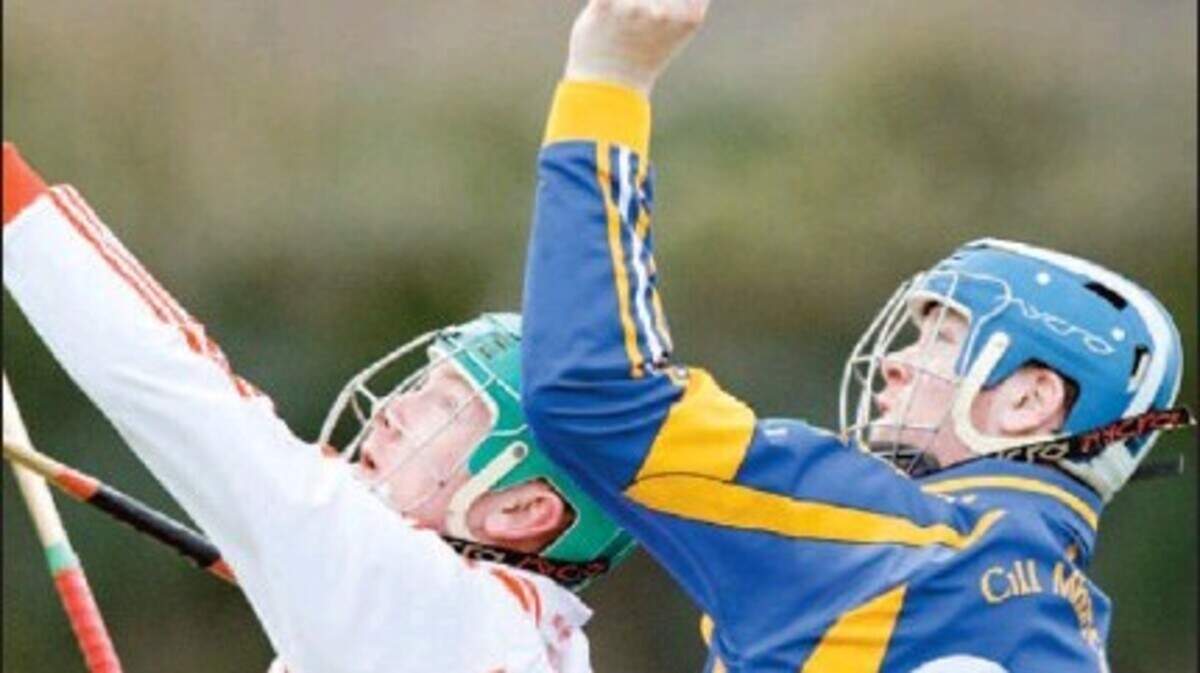 GRASSROOTS | Irish Independent
