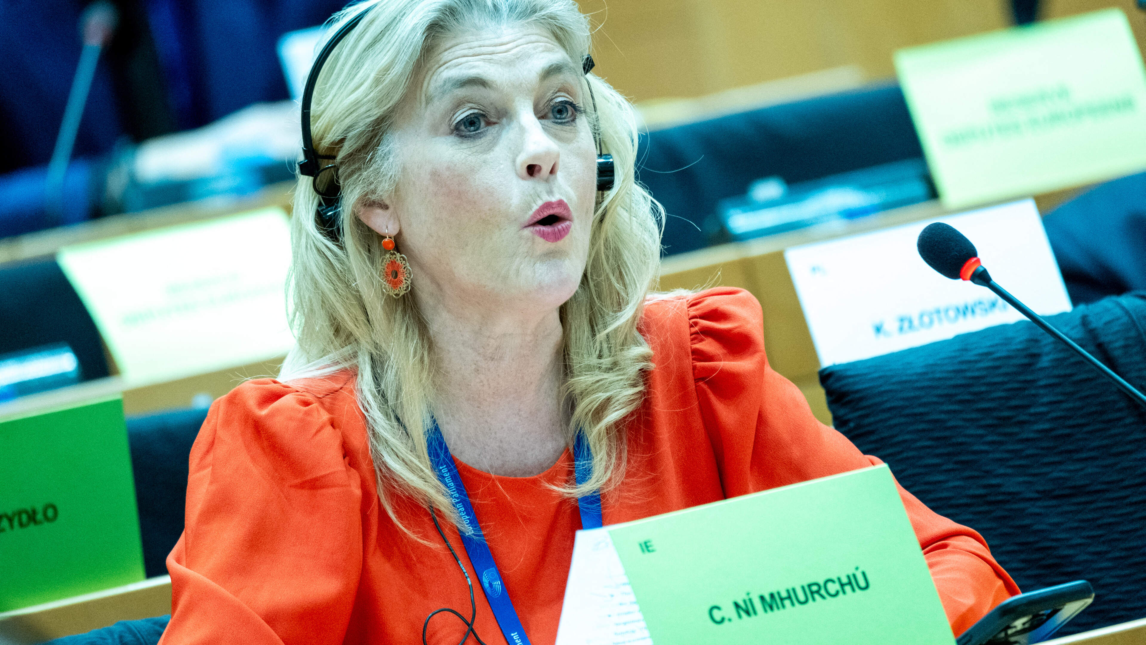 Ní Mhurchú: Ní féidir liom Gaeilge a labhairt ach amháin in Strasbourg