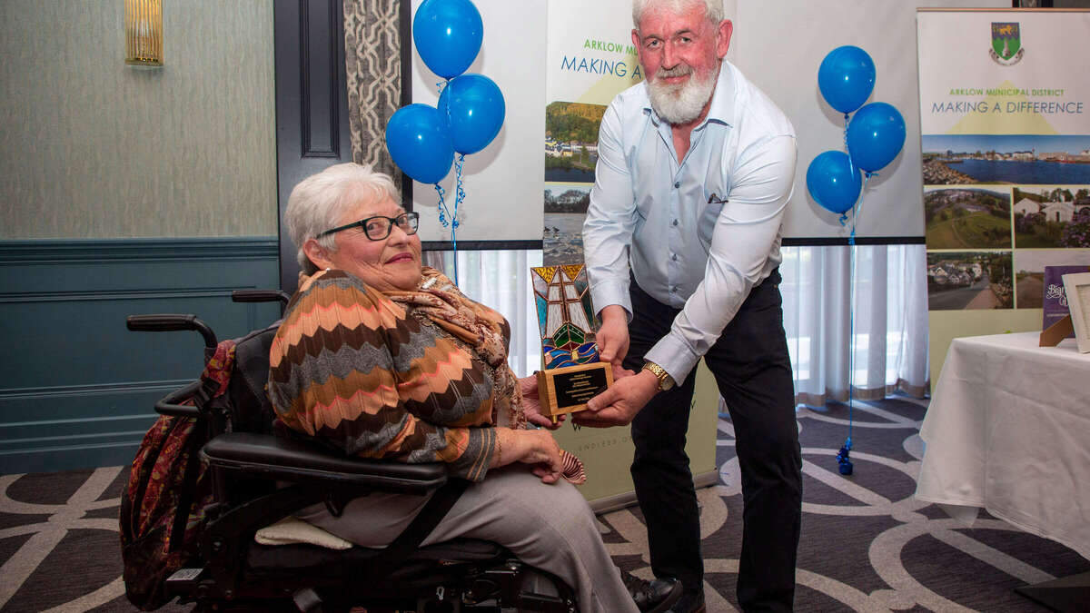 Arklow heritage museum honoured for 50 years of service at cathaoirleach's awards