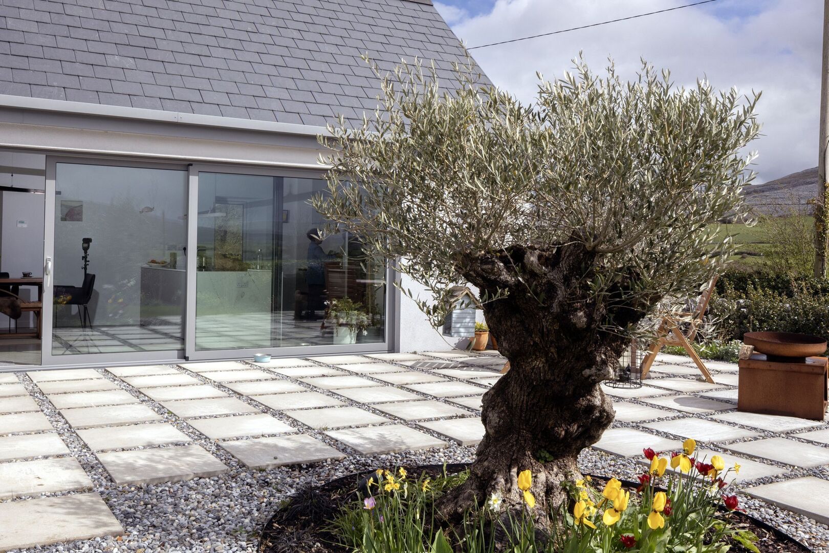 The olive tree just outside the front door of the cottage, which Richard and two other men planted with the aid of a tractor. It&rsquo;s important to him as it&rsquo;s a nod to his Lebanese origins. Photo: Tony Gavin
