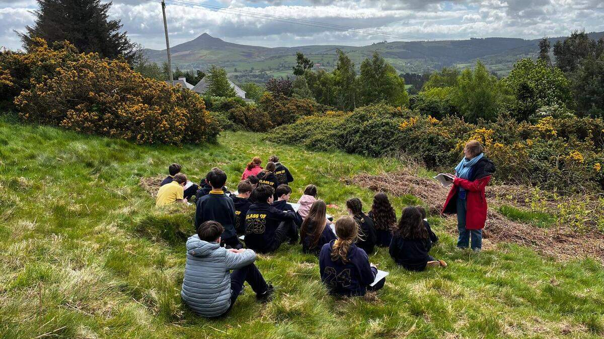 Wicklow artists invited to apply for funding of up to €15,000 for new projects