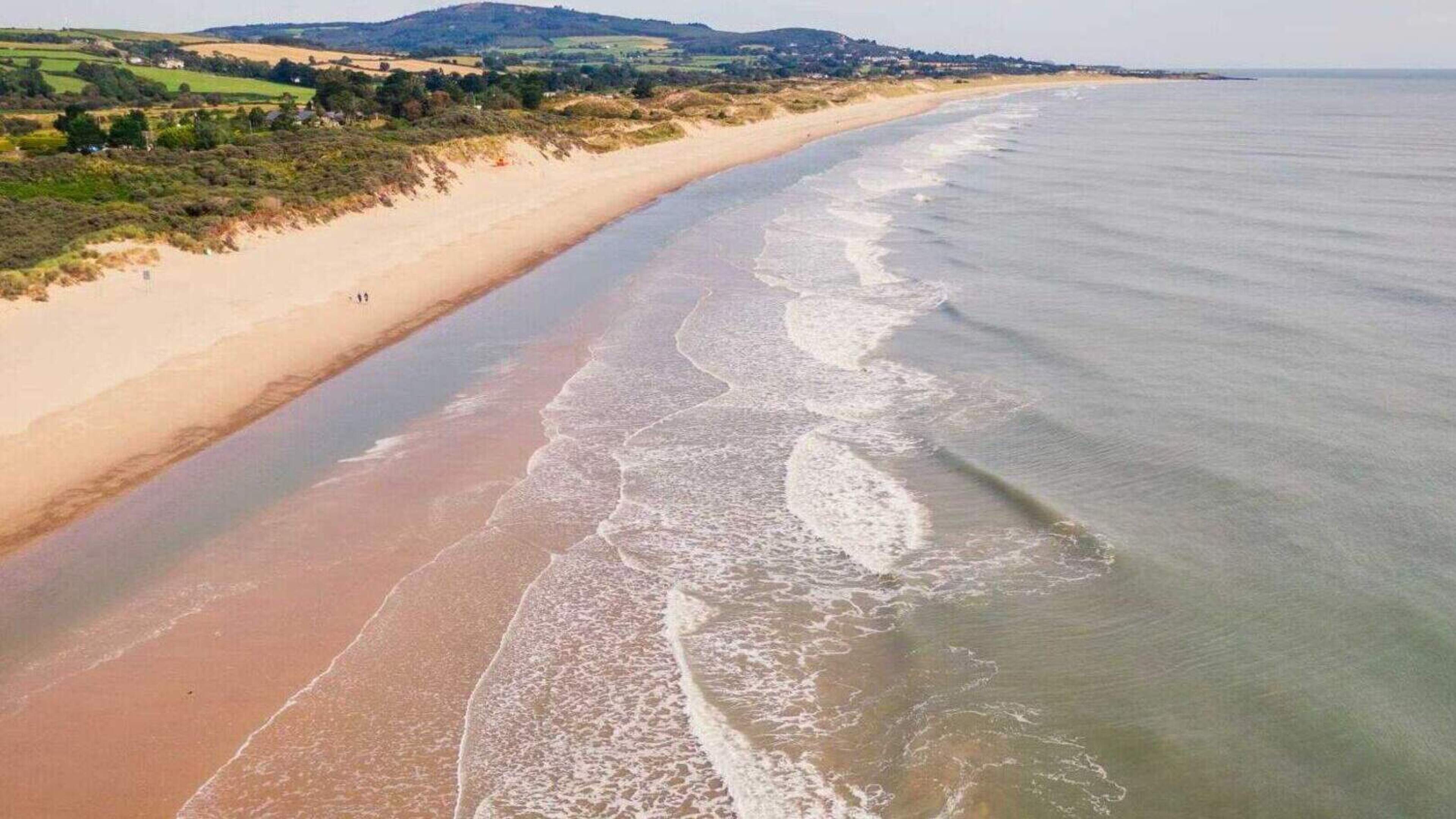 Wicklow bathing waters rated excellent as hot spell draws swimmers to coast 