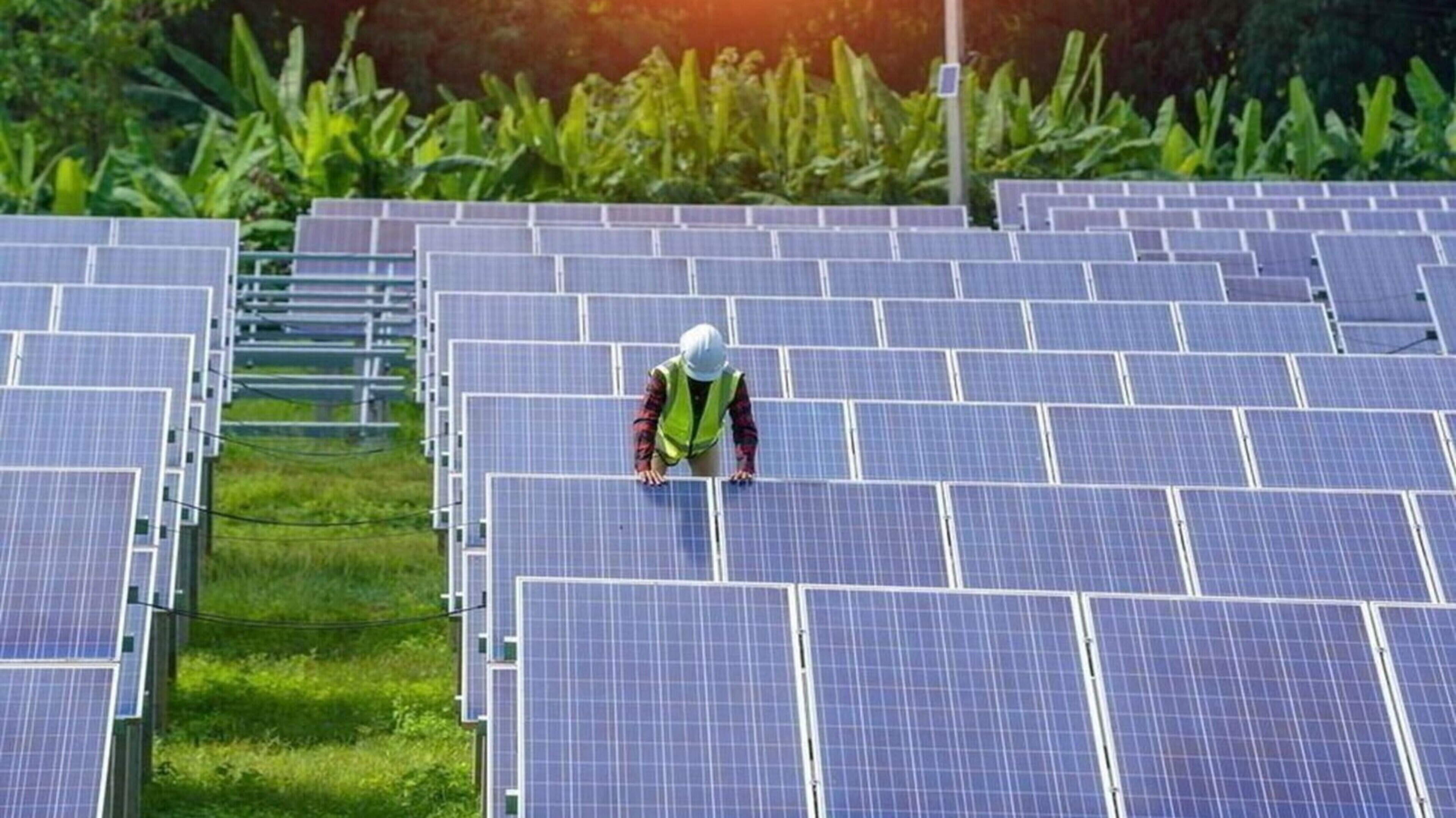 Large 203.5 hectare solar farm in Wicklow gets green light on appeal