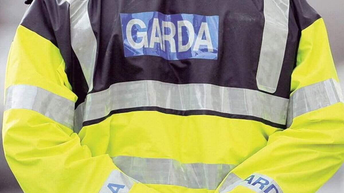 Car stolen from Kildare reappeared in Dublin where it was involved in a crash and ‘destroyed’