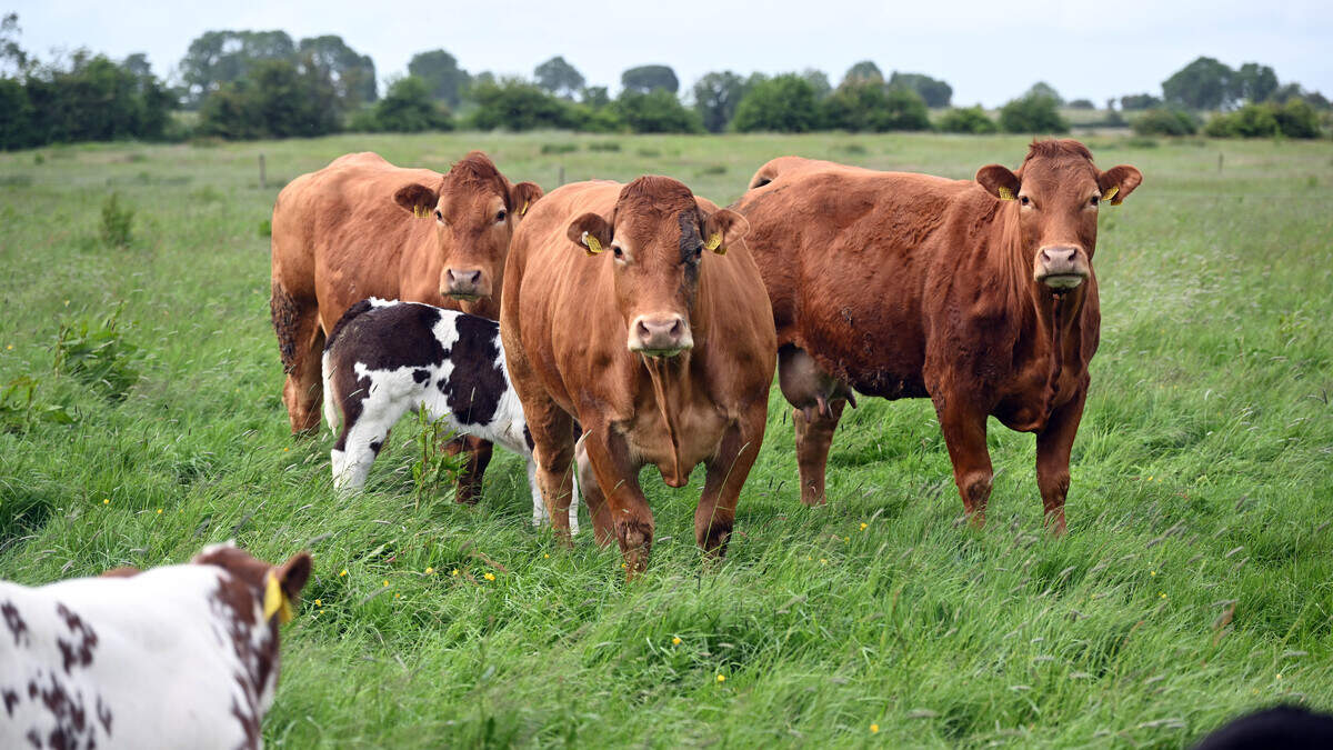Close to 3,000 farmers have exited ACRES