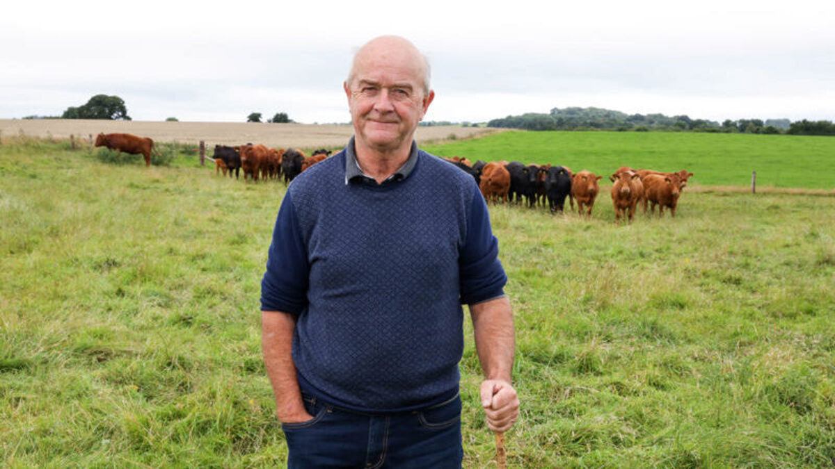 Robin Talbot's beef farm in Co Laois