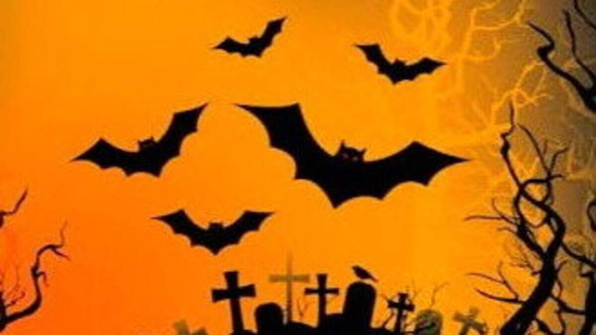 Nature Trail: Halloween is a mix of Celtic myths, early medieval Christian traditions and modern fun