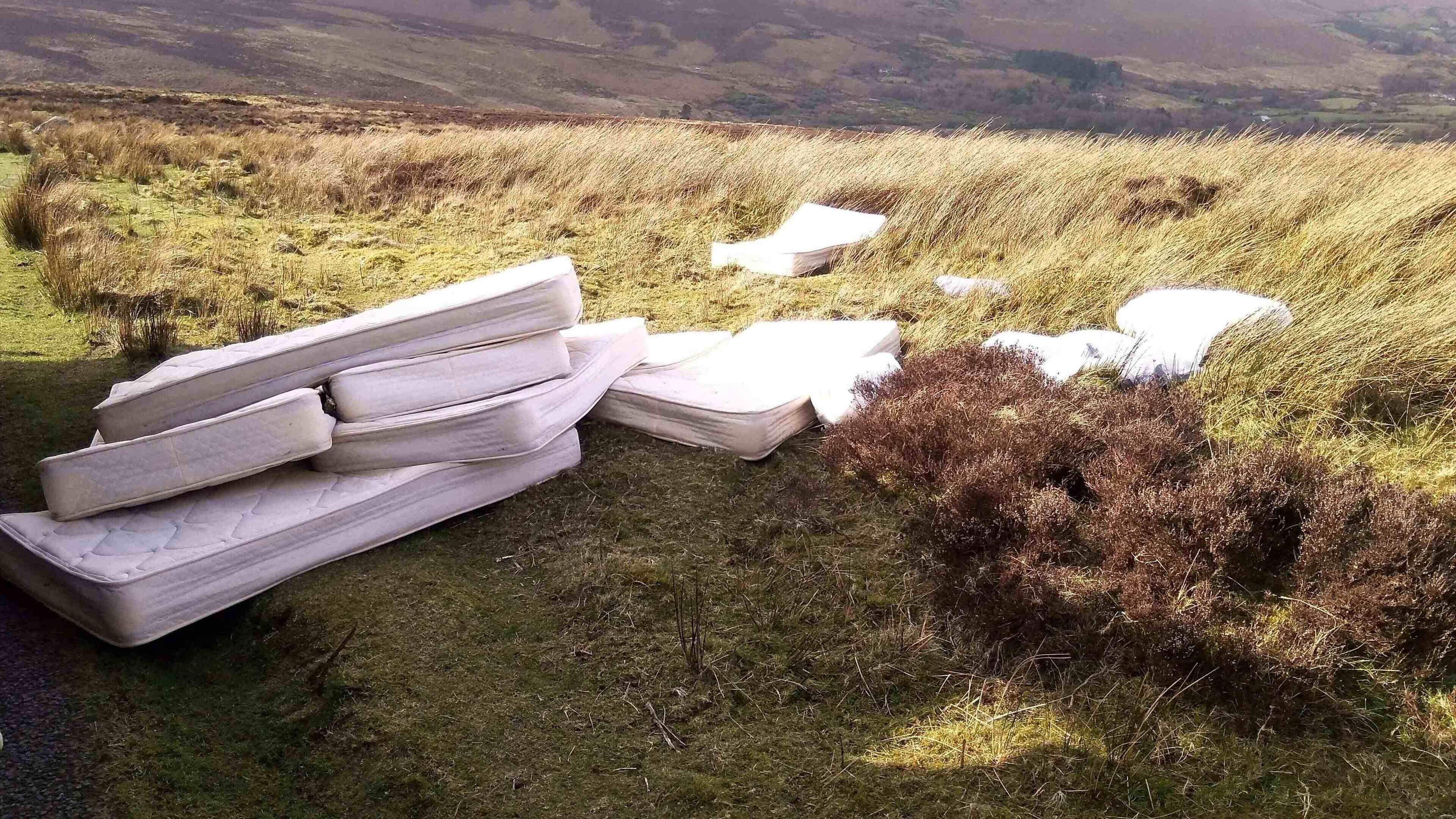 Surge in illegal dumping in Wicklow-Dublin uplands sees 90,000kg of waste removed in six months