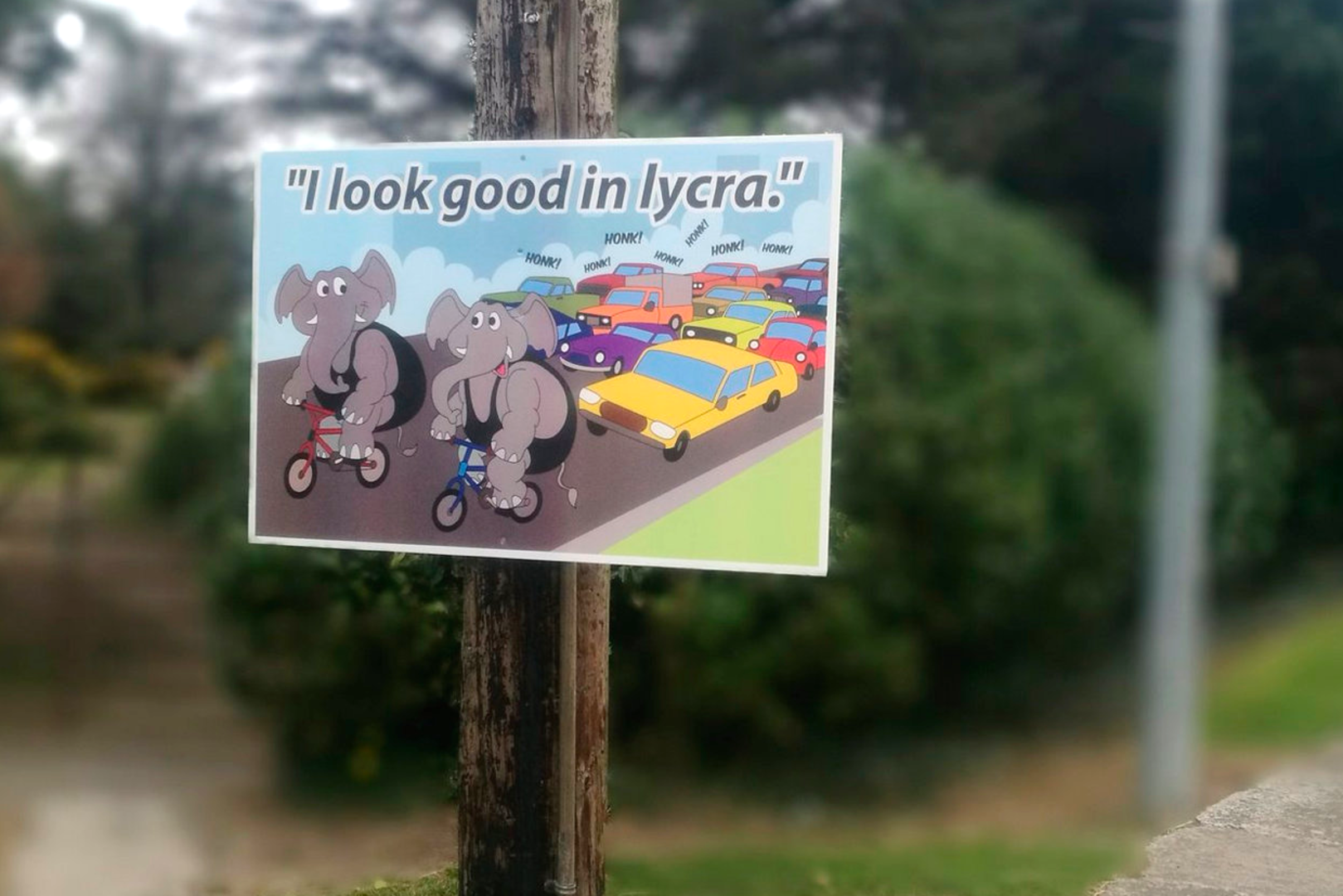 Council 'taking action' after bizarre 'anti-cycling' cartoon posters ...