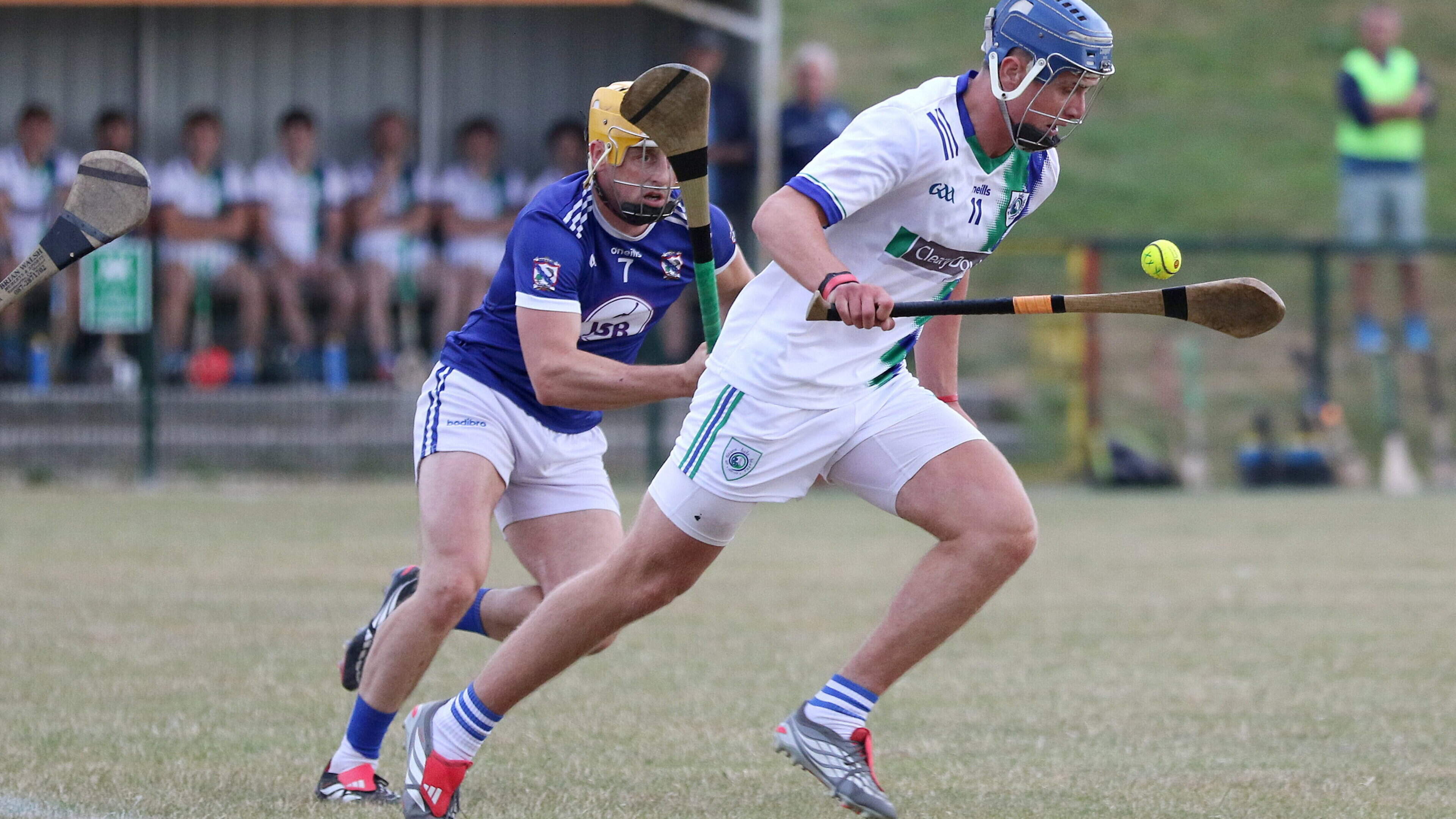 Carley and Donoghue in fine scoring form as Glynn-Barntown out-point Oylegate-Glenbrien