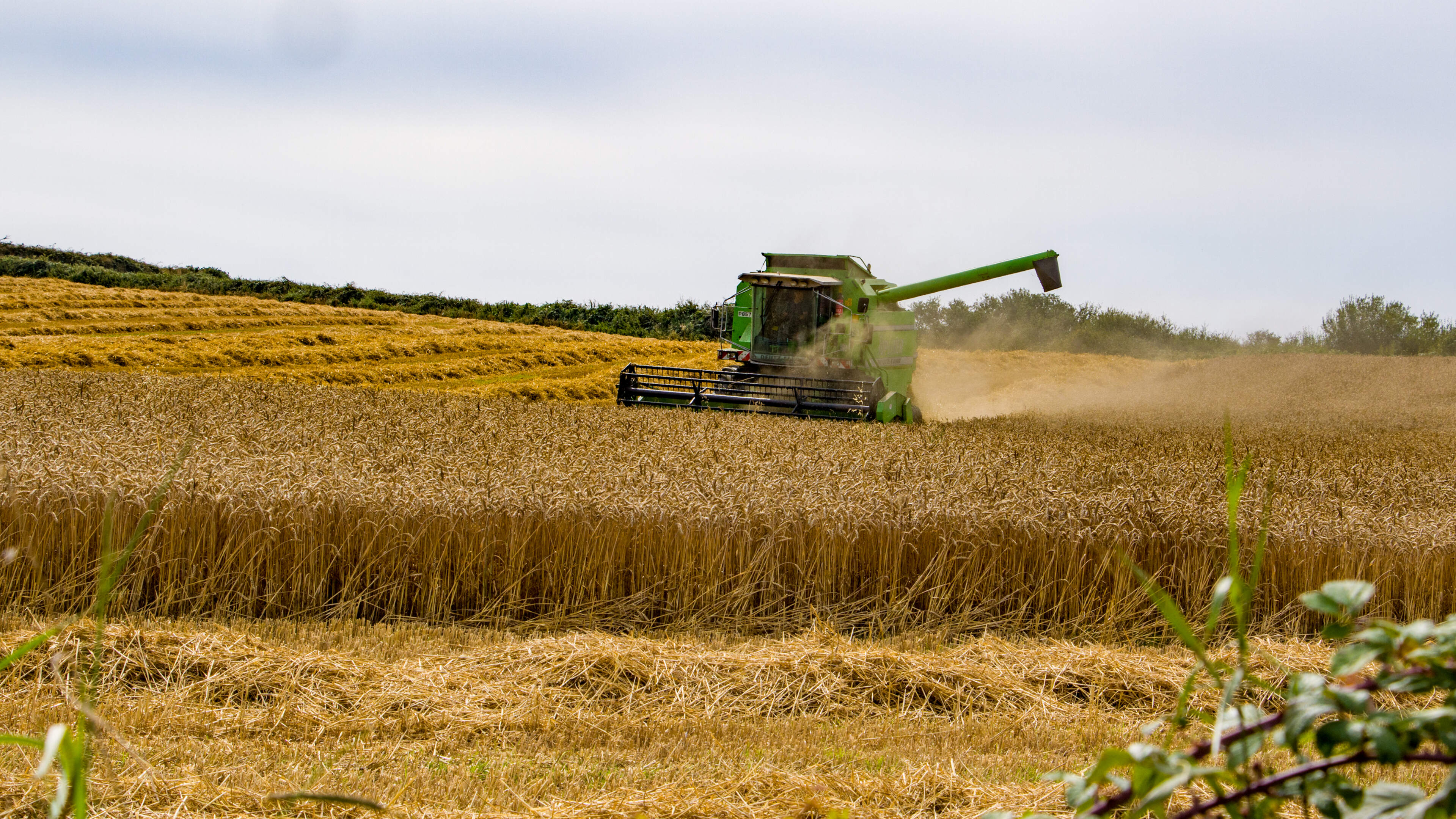‘Grain spillage along the road has increased the number of vermin’ – Louth neighbours lose appeal against farm development