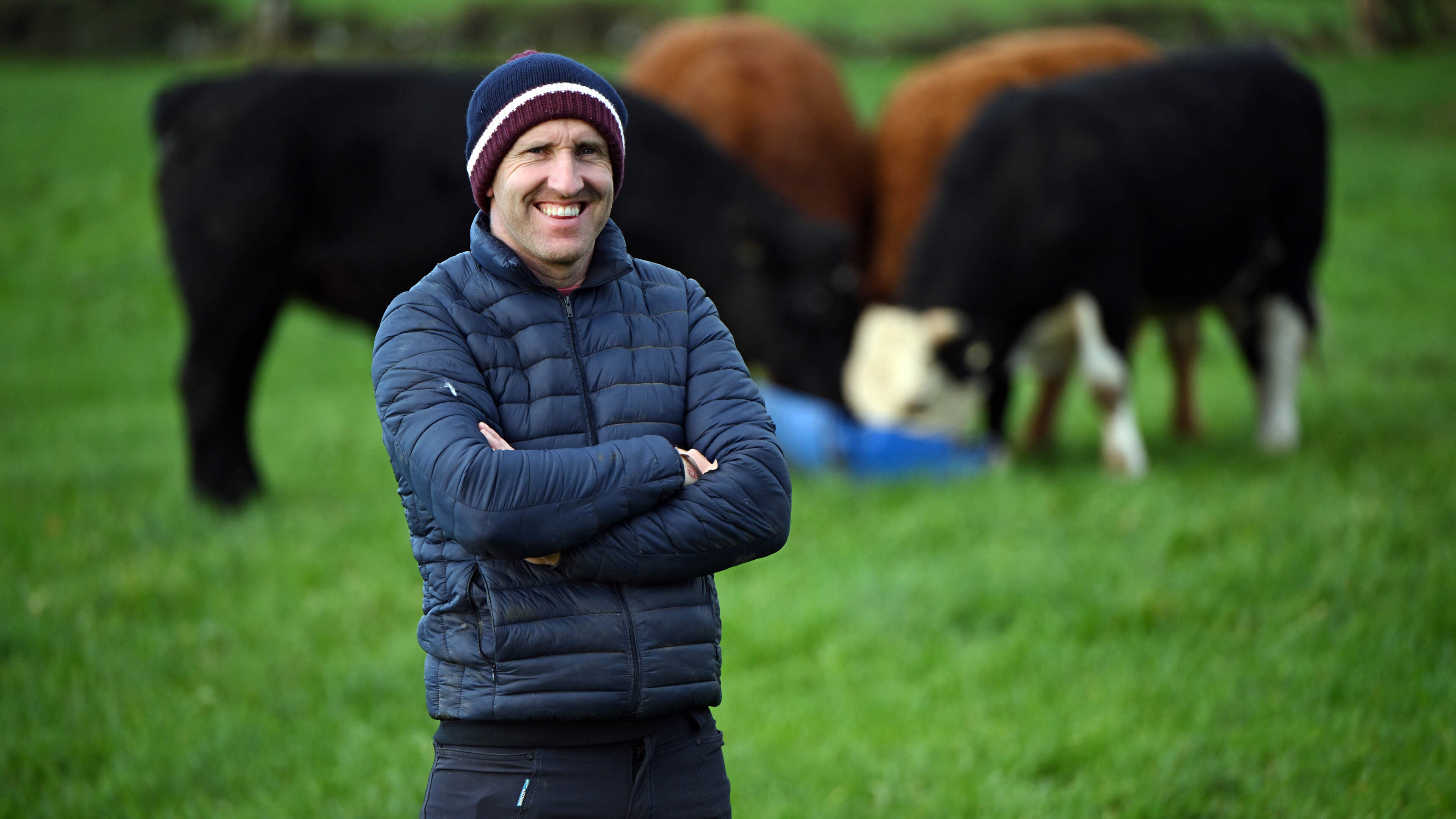 From fodder panic to grass boom: how one month turned the year around